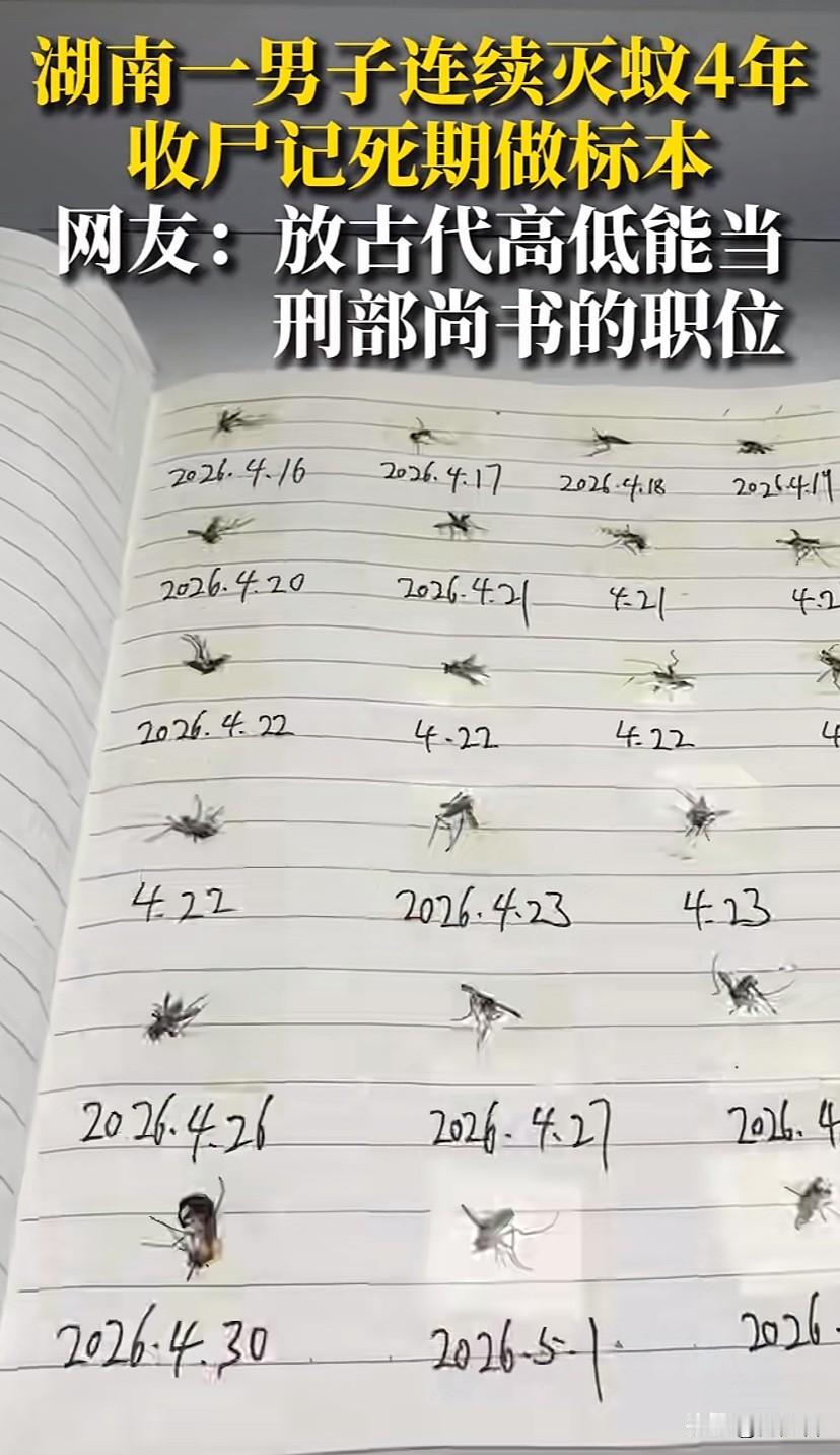 “它不死，我不睡！”男子被蚊子逼疯，就因每晚被蚊子咬的睡不着，他忍无可忍，一气之