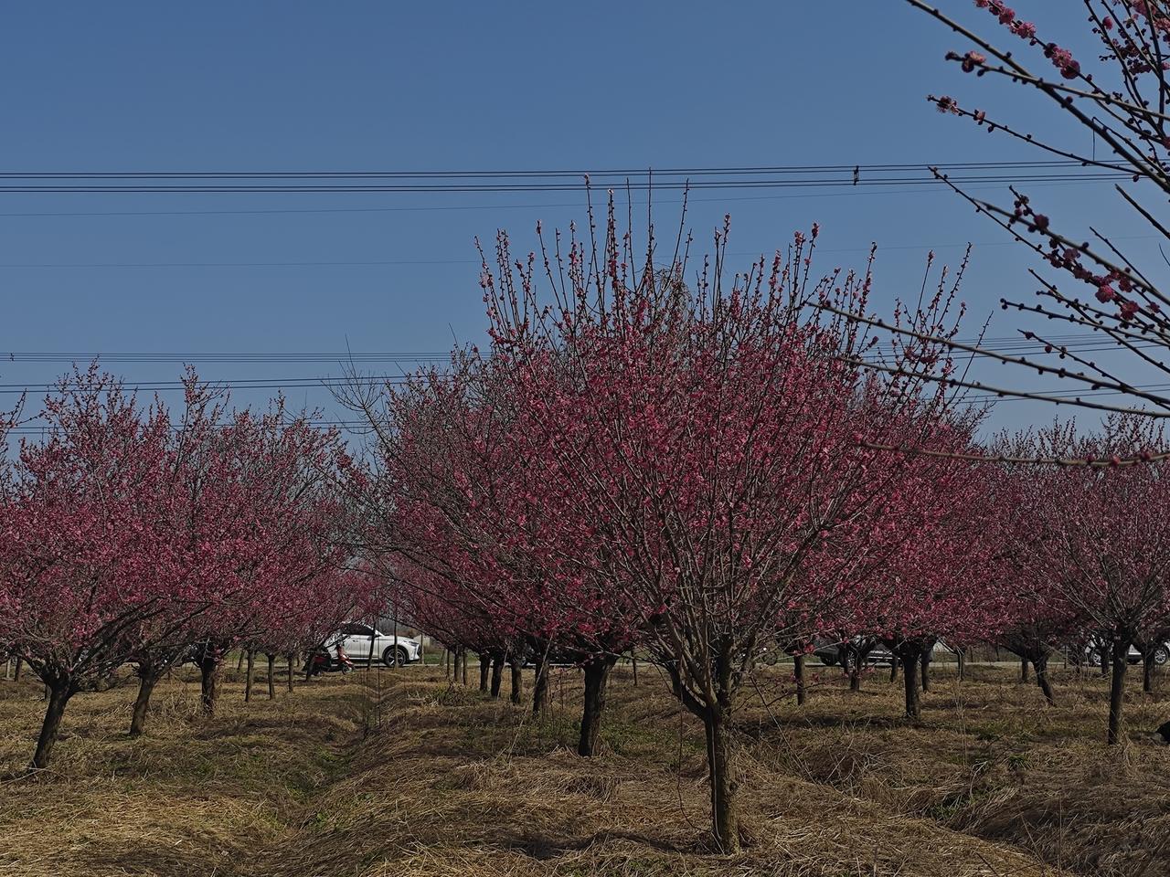 中小学教师可以用哪些稳健的理财方式增加收入？对于老师来说，理财的首要原则是“稳健