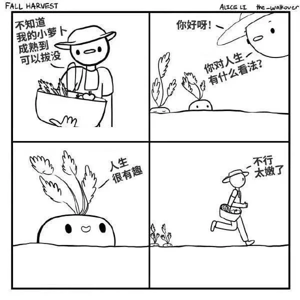 每日一图8.18
