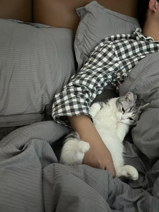 今天干点什么好捏