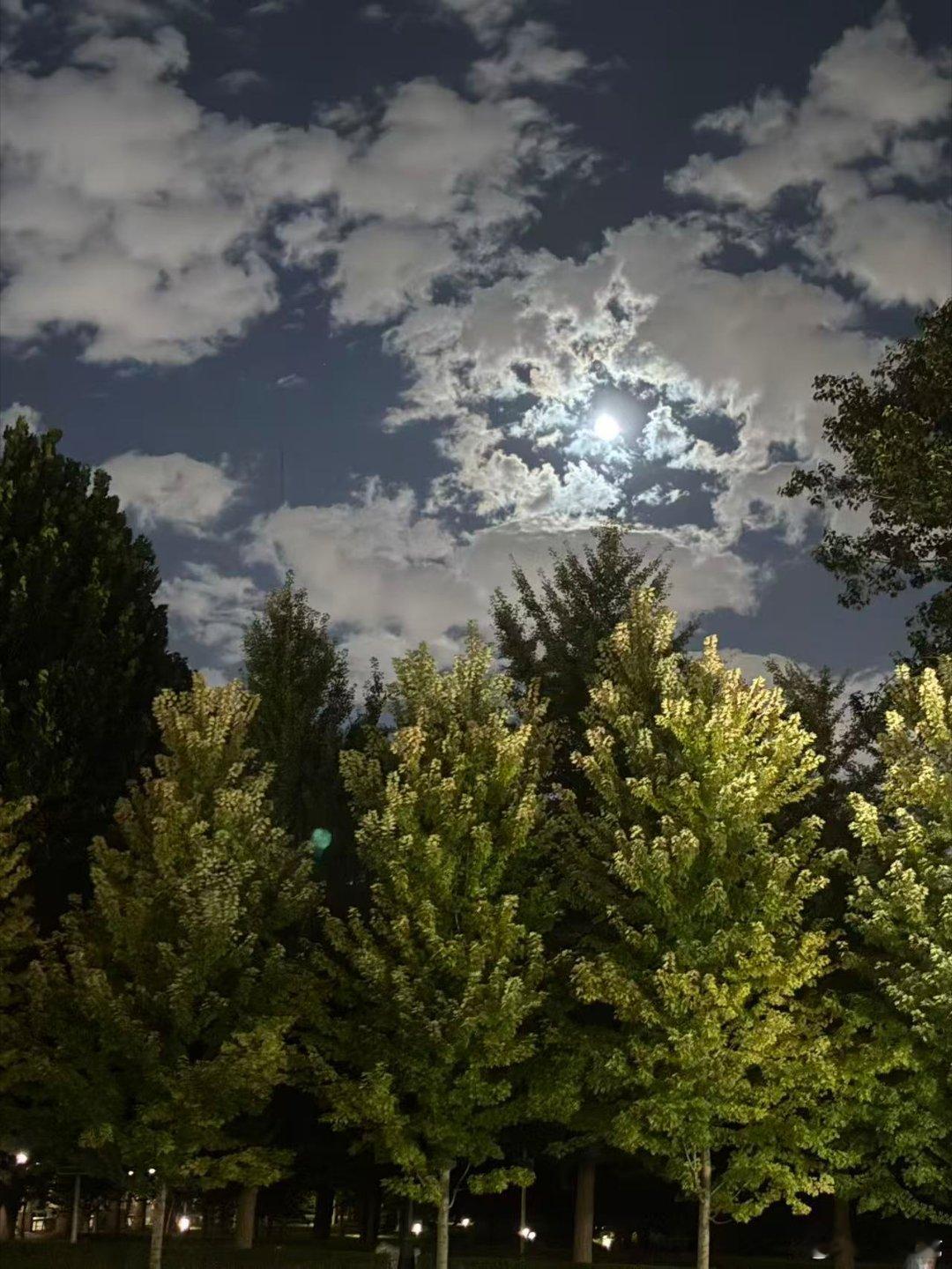 北京的夜晚，如内蒙草原，蓝天白云月光 ​​​