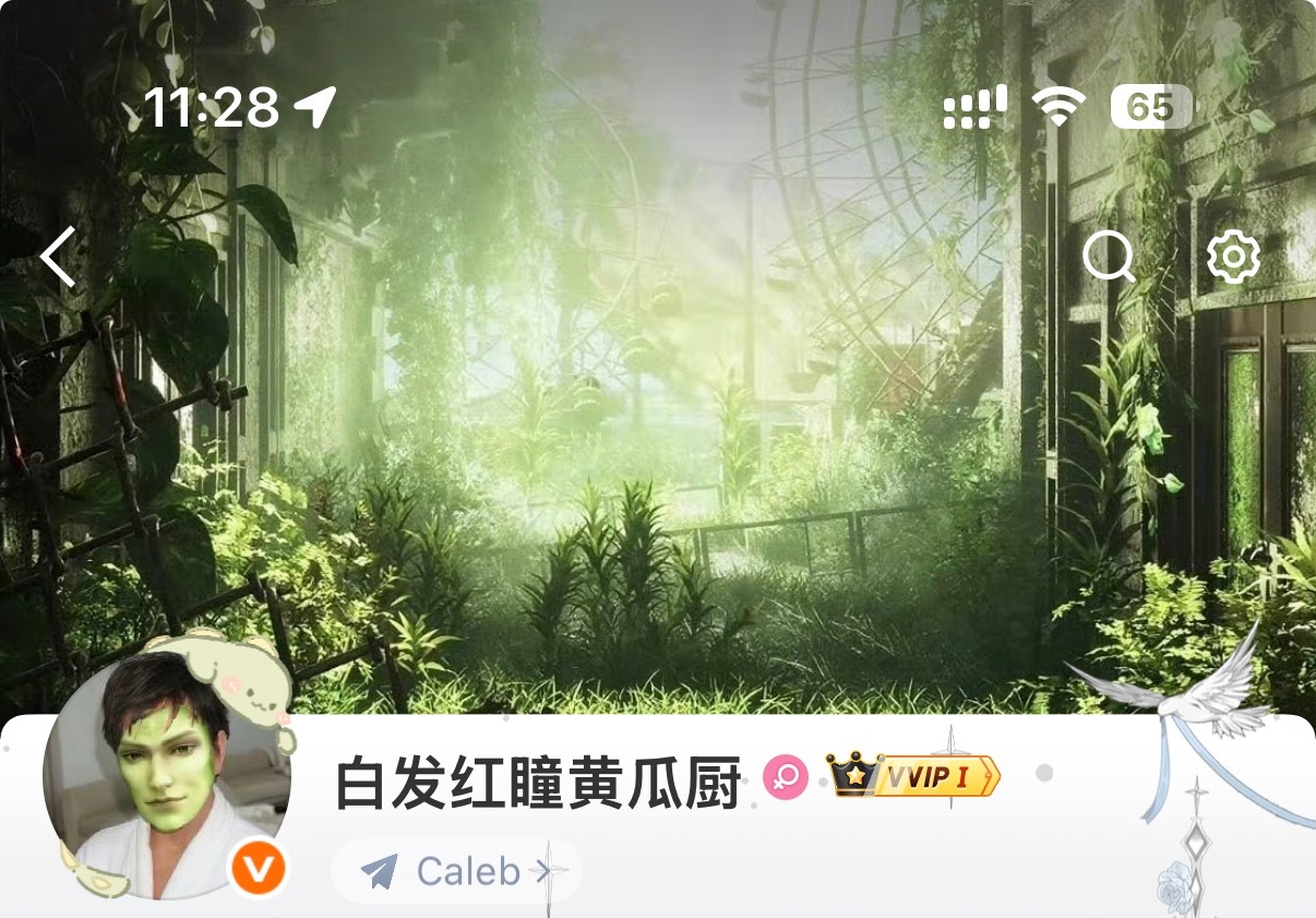 纪念一下黄瓜龙