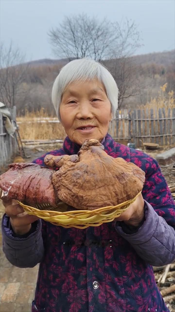 黑龙江原始大森林，白松上生长纯野生的松杉灵芝。
我家是小兴安岭的主脉原始大森林，