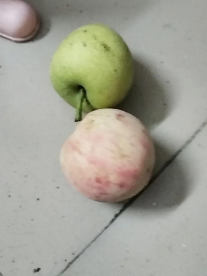 今天决定不干活，没有收入，有点小小遗憾，但想到身体才是革命的本钱，又有点自我安慰