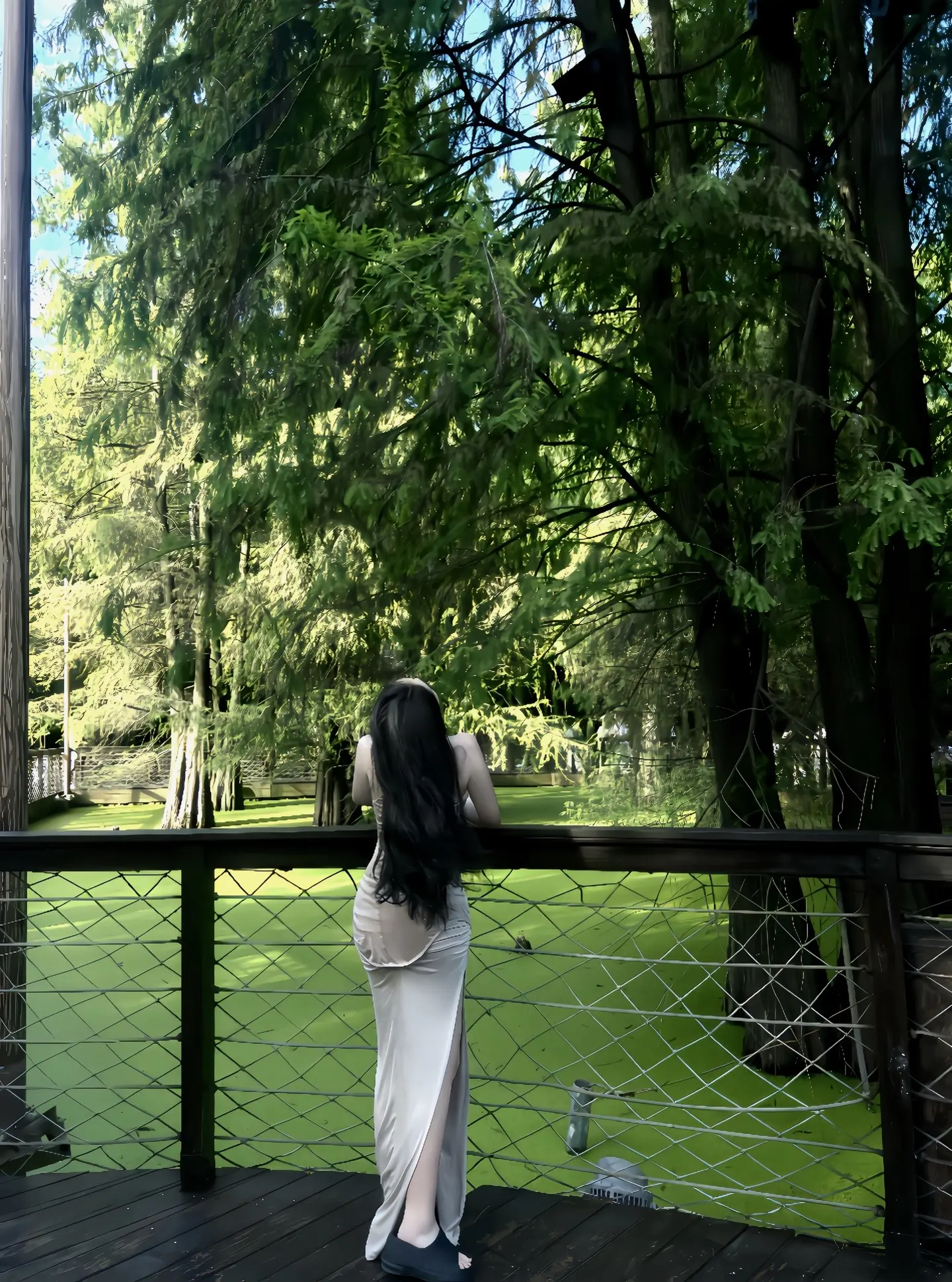 他们试图把你埋了 可是你是一颗种子。