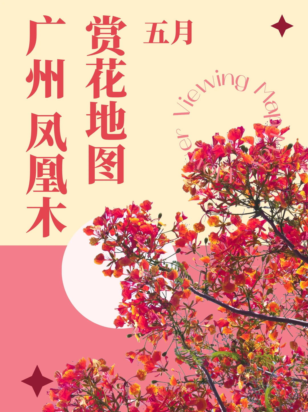 广州凤凰木12大赏花地！❤️被五月红海美哭