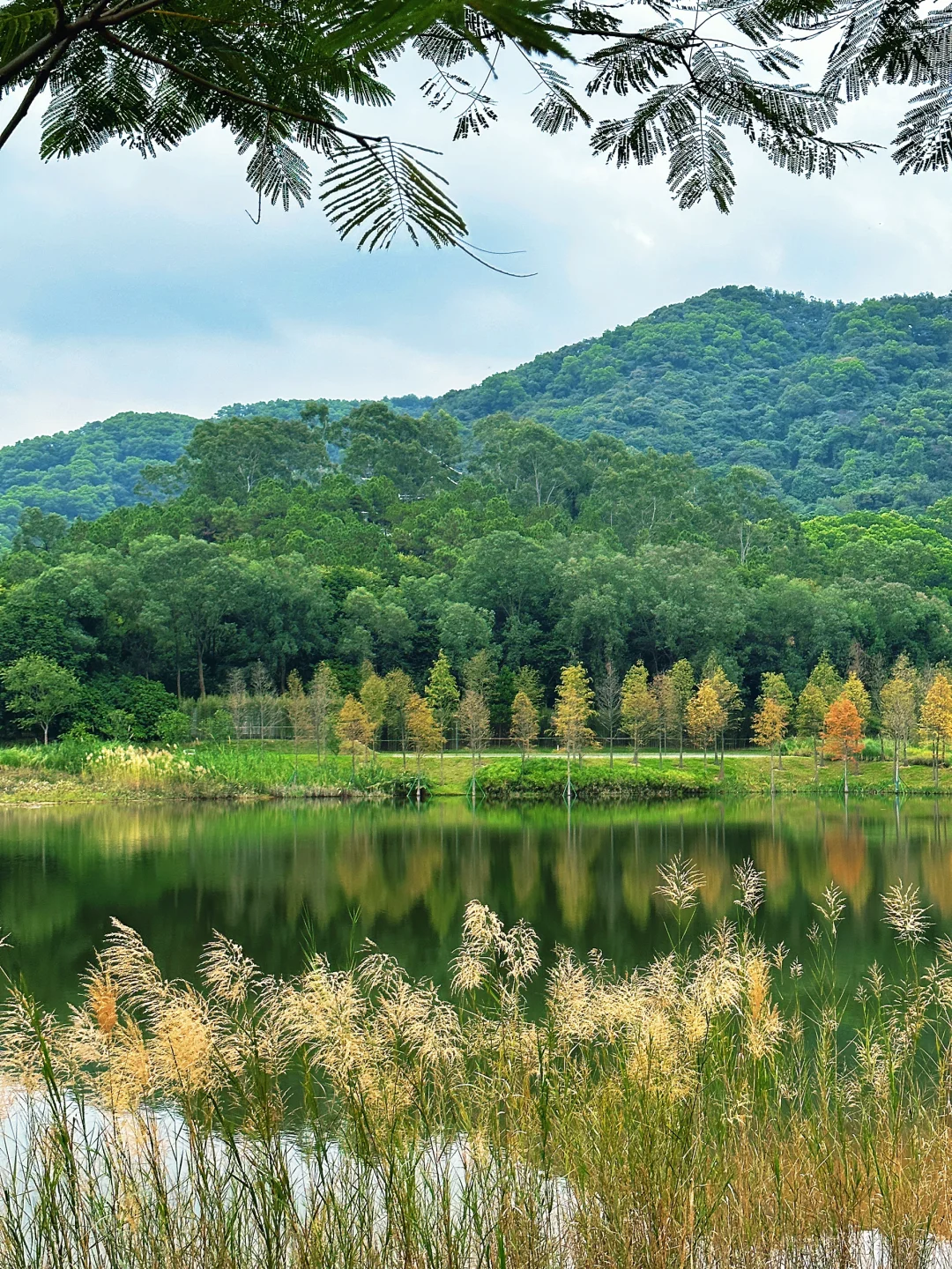 广州版万绿湖❗️走过最舒服的环湖骑行路线