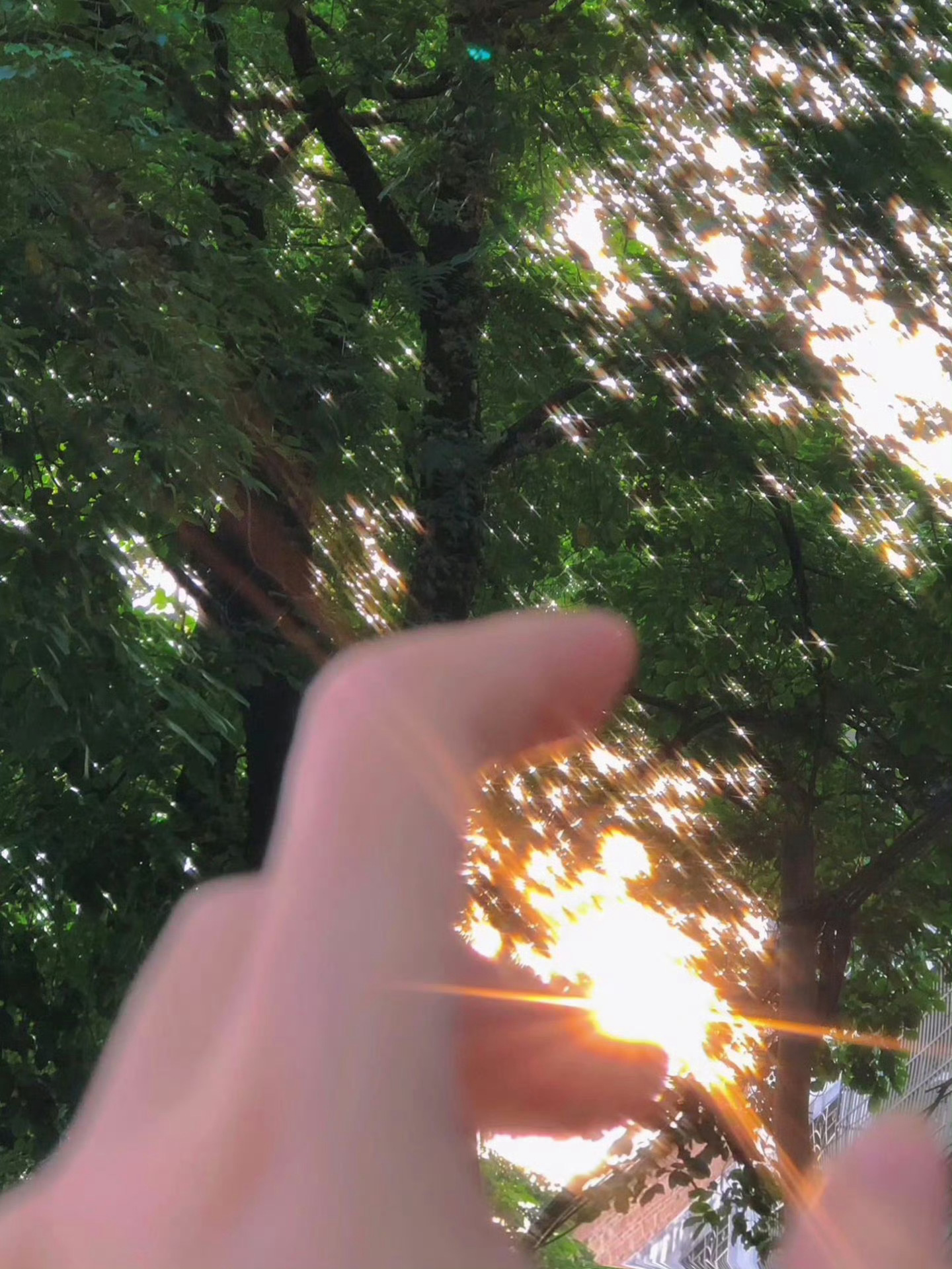 看 总有光照进来 