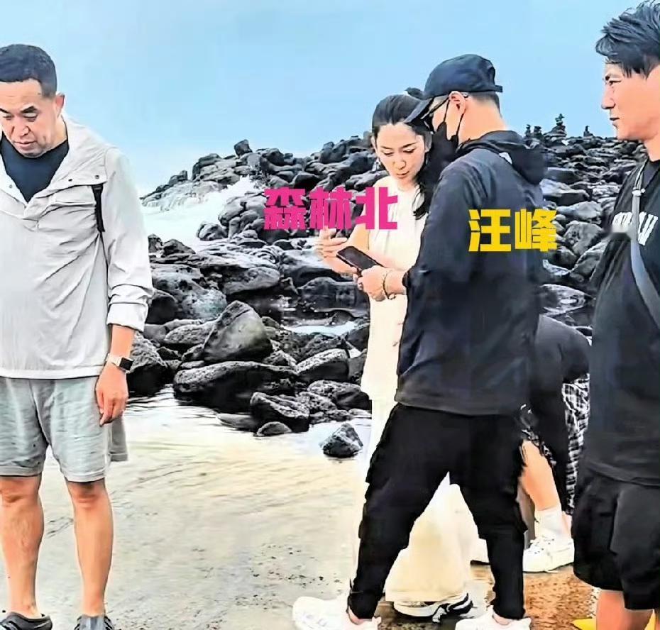 汪峰和第一任妻子齐丹是恋爱四年结婚，但不足一年便离婚。

之后汪峰和女友葛荟婕是