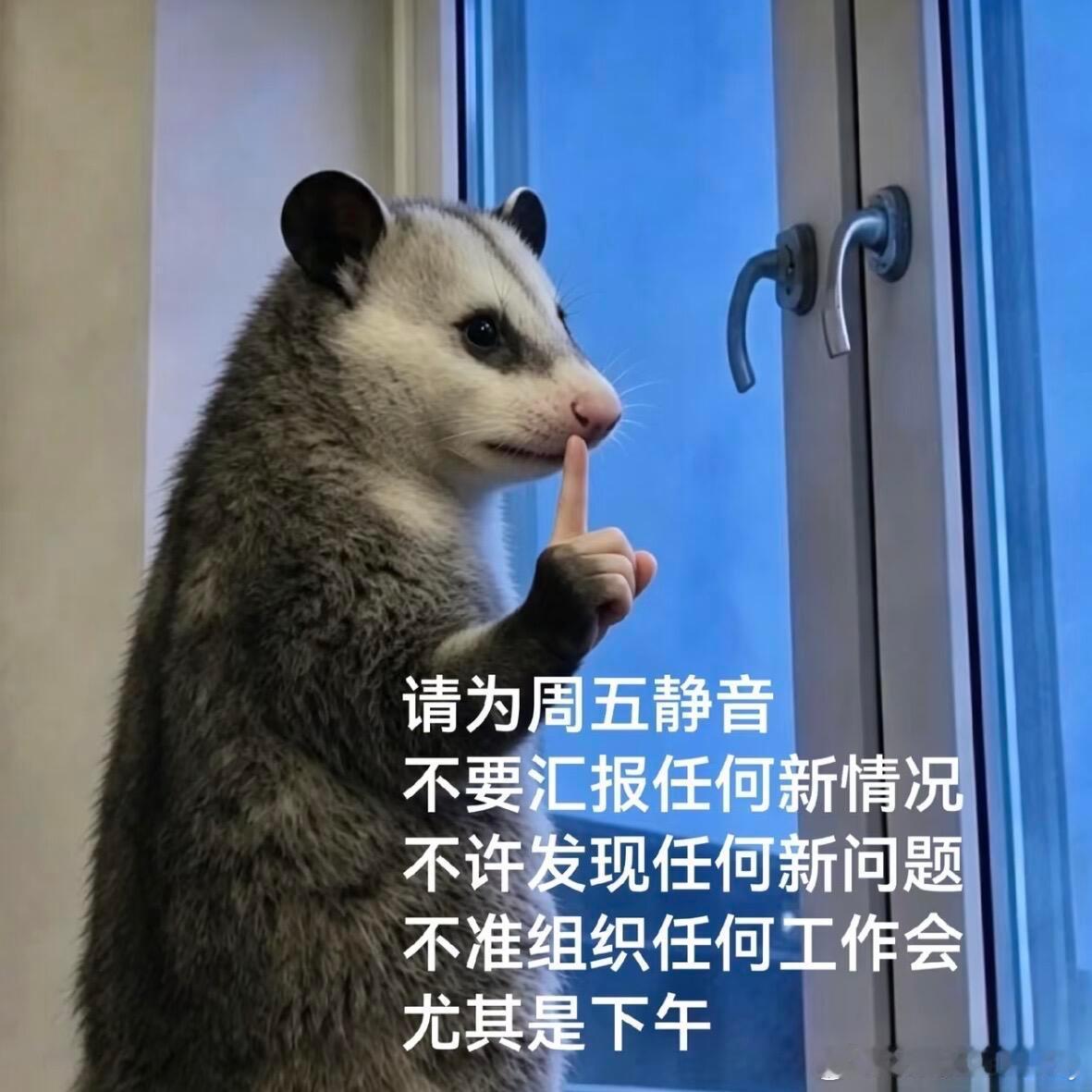 所有人！尊重周五！ ​​​