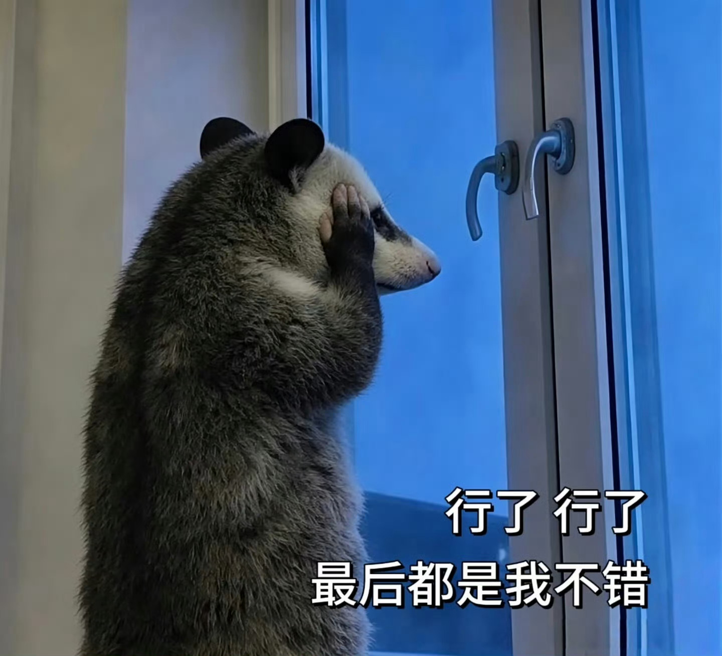 不知不觉存了好多