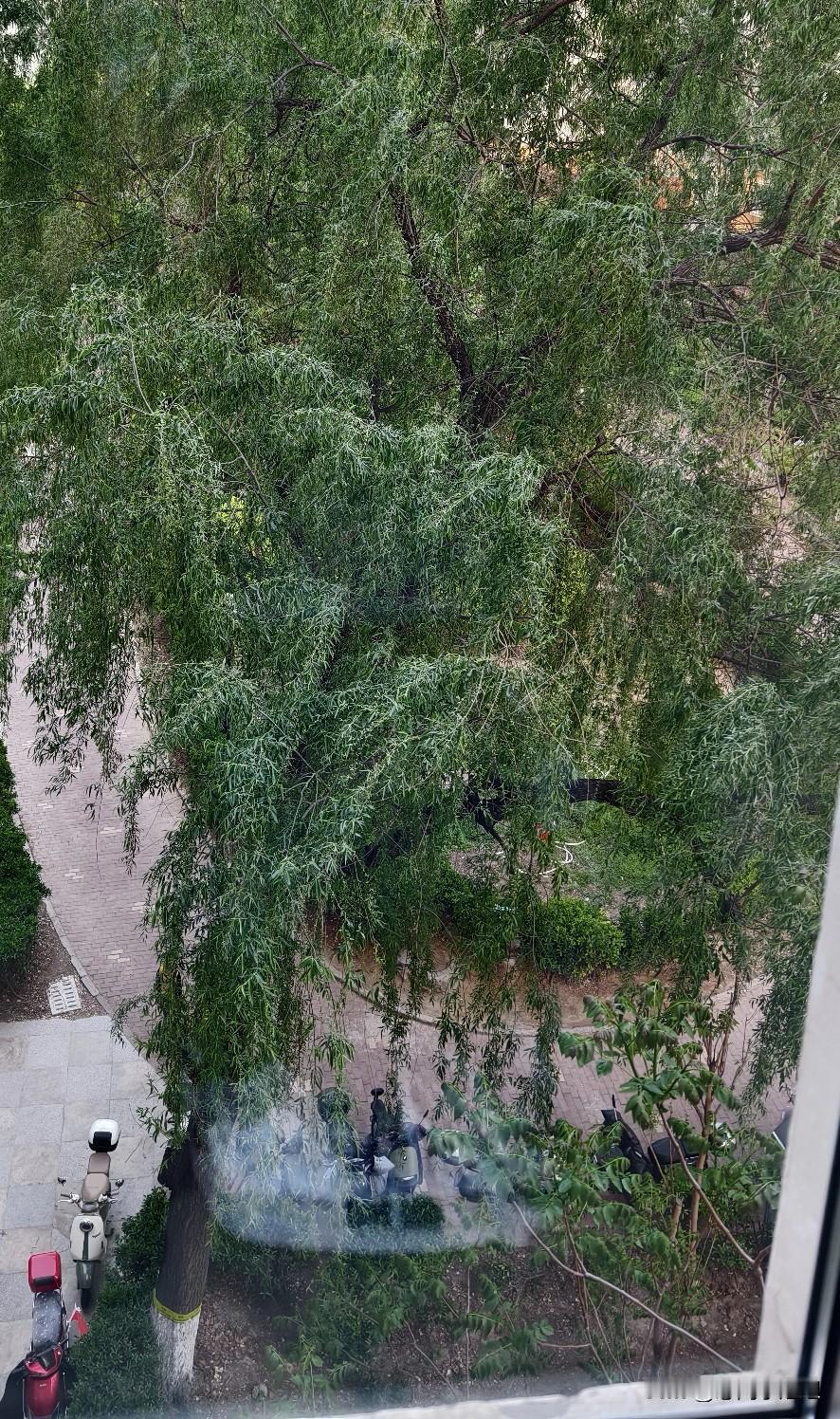 昨天儿子约来阿姨打扫卫生。
是前天约的，我说这点活还用叫人干吗？他说都约完了，我