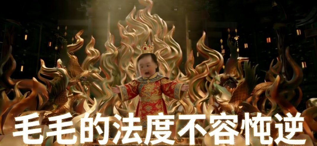 毛毛的法度不容忤逆白日提灯