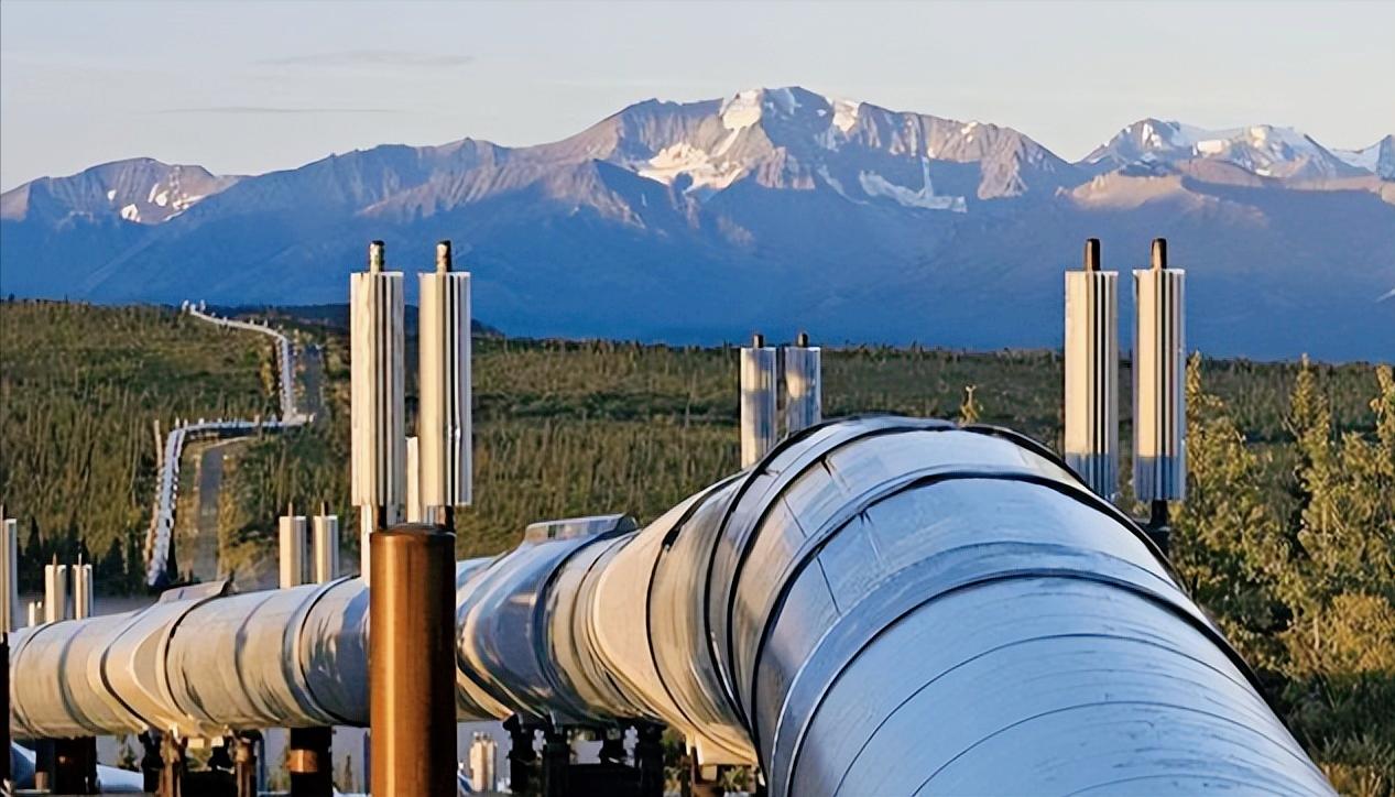 友谊管道输油管道停摆一个月，乌克兰和匈牙利直接闹掰了，匈牙利总理更是当众骂泽连斯