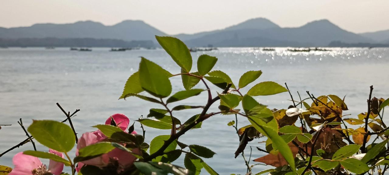 西湖初冬印象之一