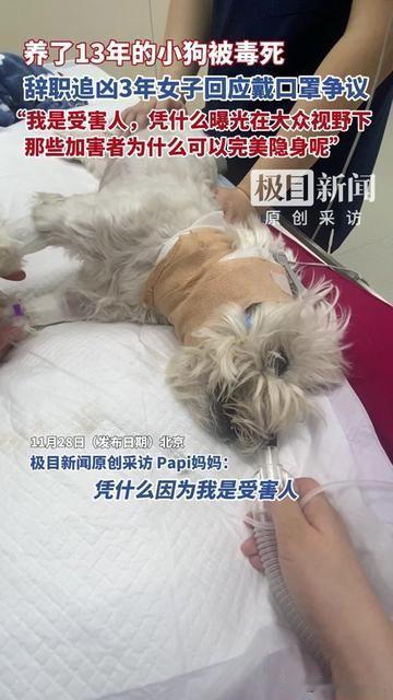 养了13年的老狗被毒死，她辞职追3年凶，居然因为戴口罩被骂？

那狗跟她过了