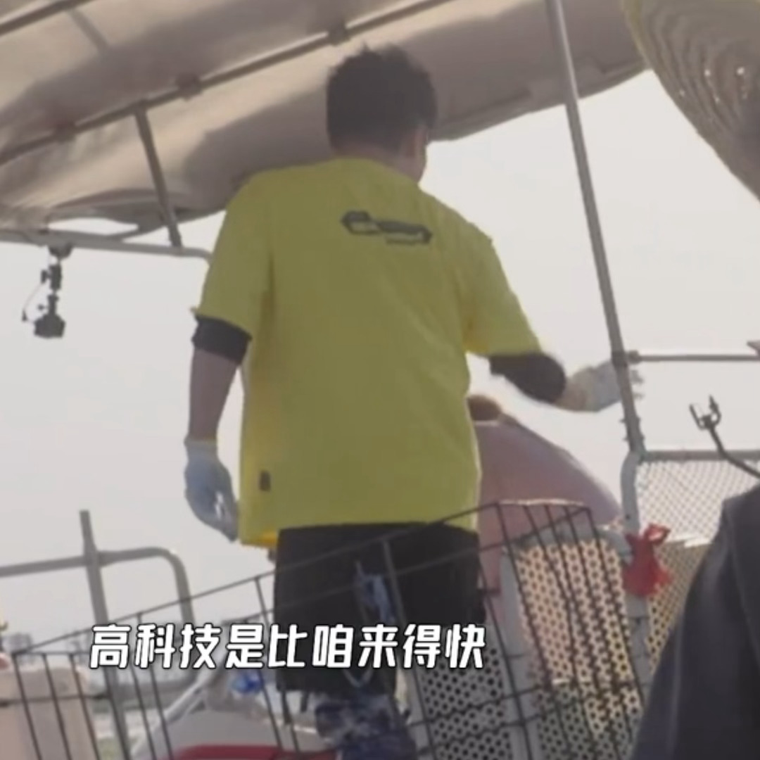 鹿晗哈哈哈哈哈 哈哈哈哈哈哈哈哈鹿儿挨打了 鹿一个急刹 赫晃了好几下🤣 