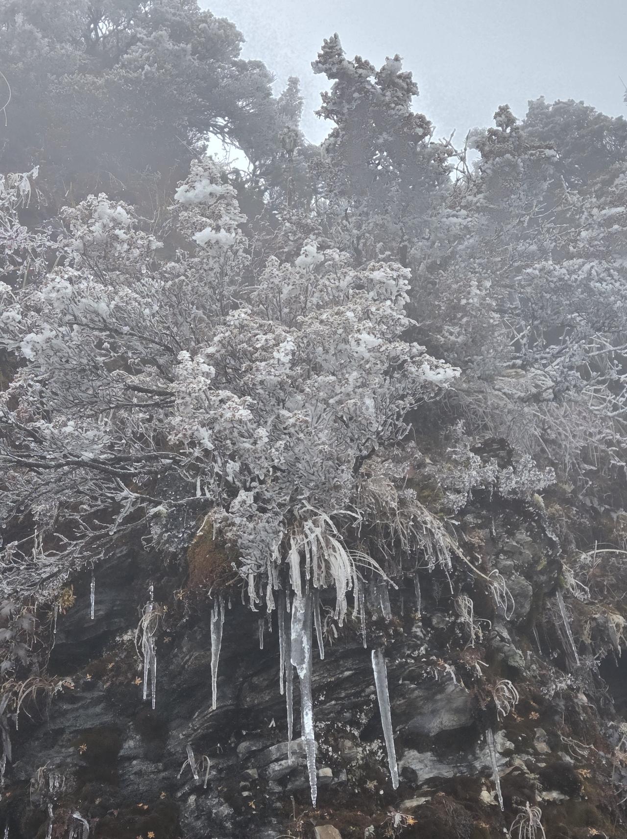 11月14日牛背山烟雾缭绕
早上九点从泸定出发，一路山路崎岖，回头弯特别多，经过