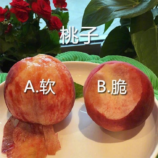 你是A还是B？ 