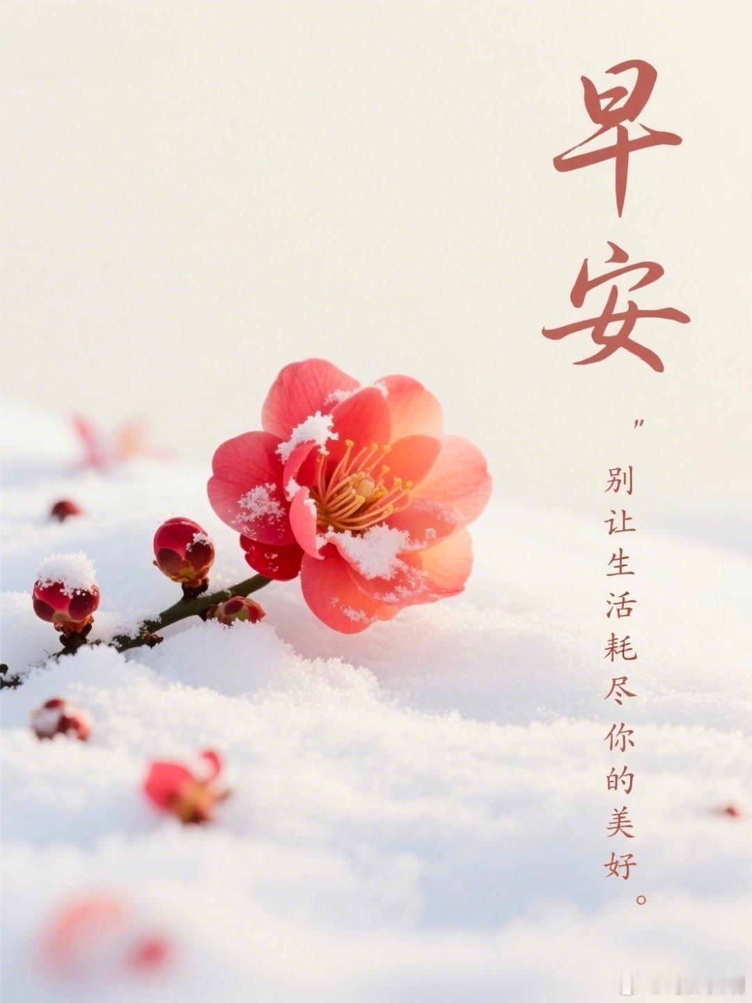 早安 生活充满阳光☀️抬头遇见光，低头皆是路。认真对待三餐四季的人，岁月从不会辜