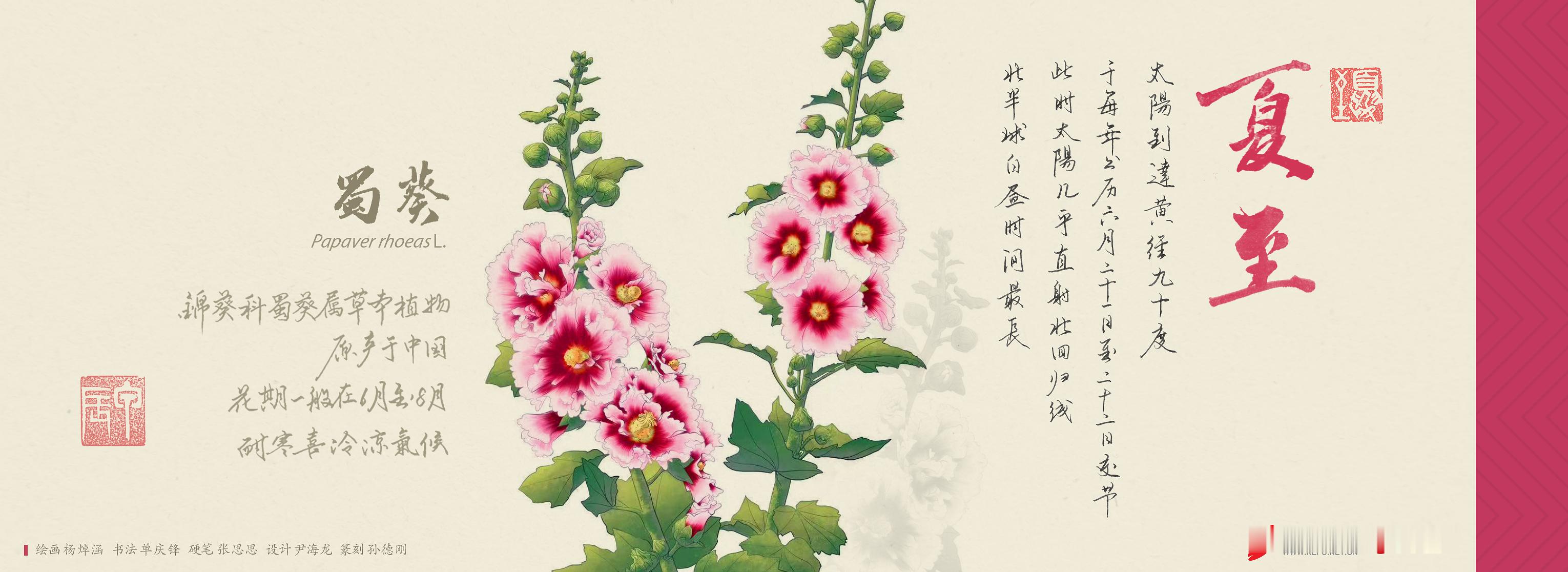 【夏至干什么？当然是夜赏北斗七星了！】夏至作为中国传统二十四节气之一，在中夏之位