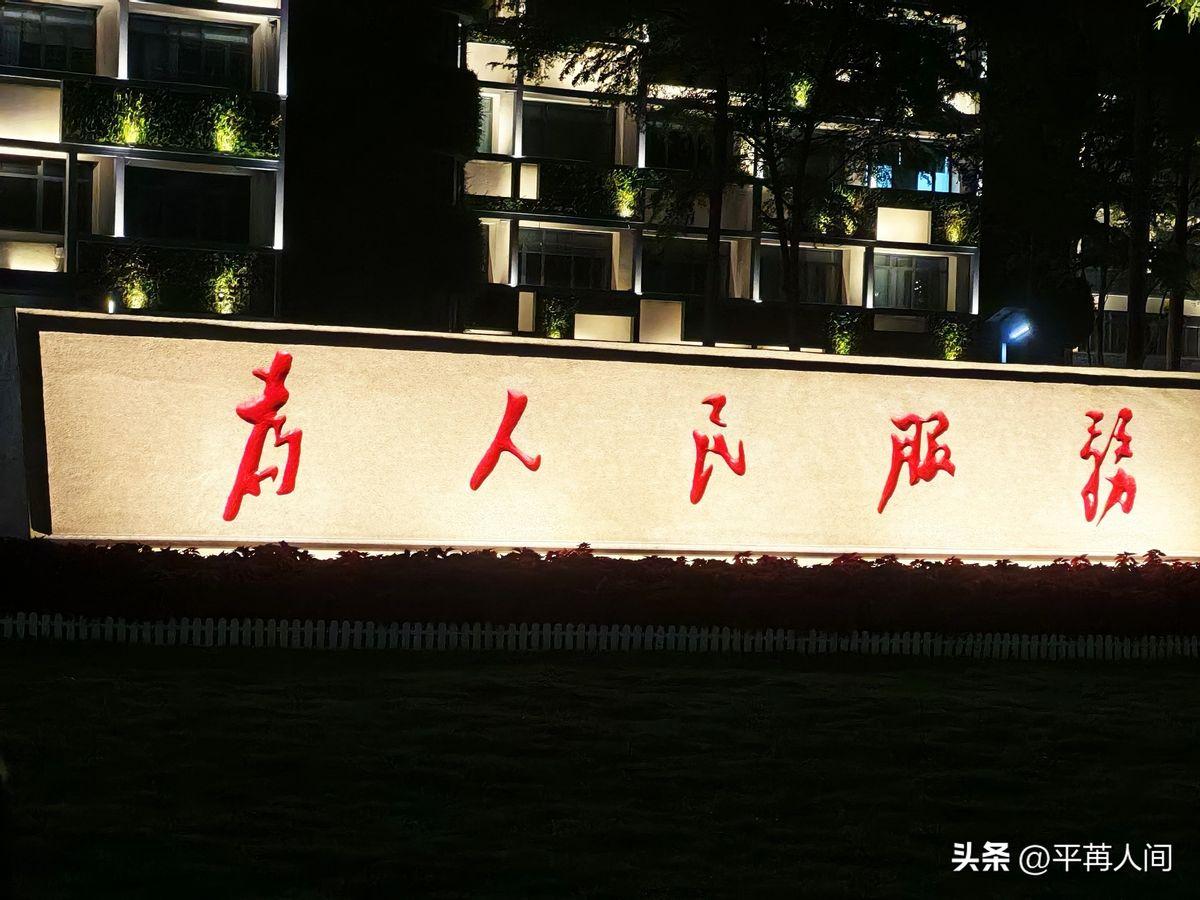 惠州市社保局草坪上，“为人民服务”几个字被射灯照得发白。
你见过太多牌子了。
白