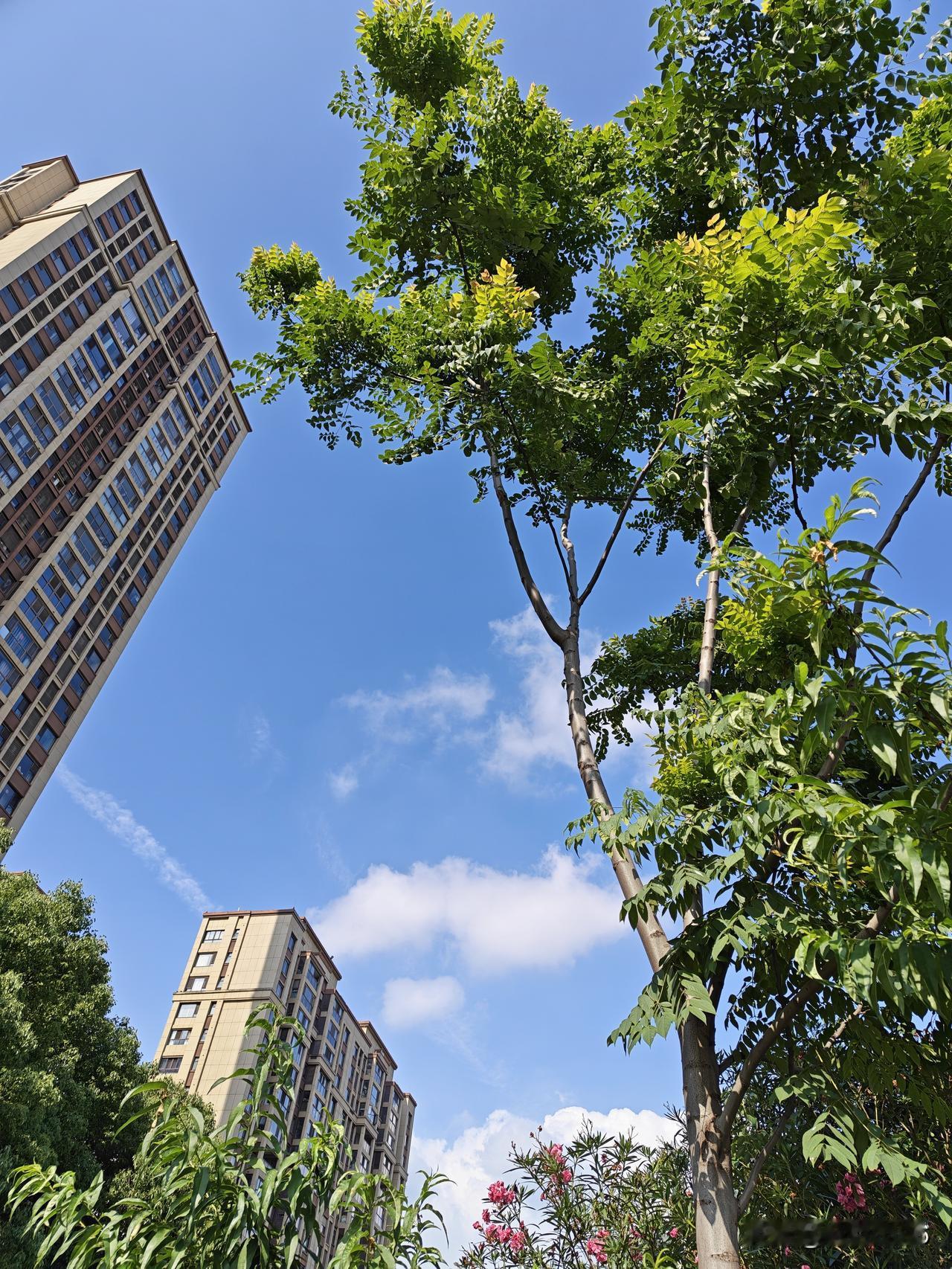 我认为是，对绝大多数的大多数普通人来说，学历确实是“性价比最高、路径最清晰”的改