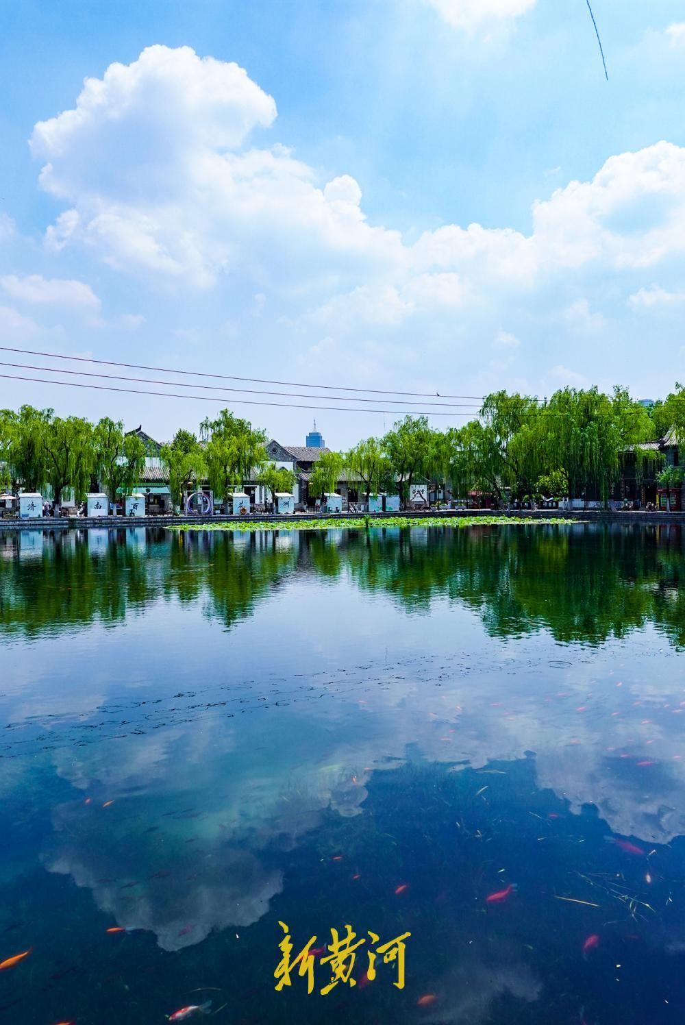 泉城初夏限定美景 蓝天白云“游”进泉池中-app/#/content?catid