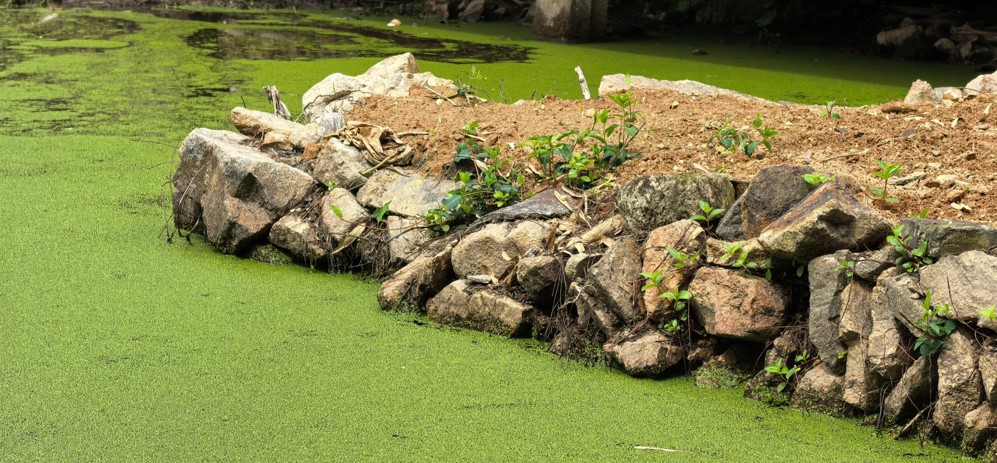 醉美建宁 老家，伊家乡东风村严塘。已经不是儿时的景象了，人少了，热闹的农村不见了