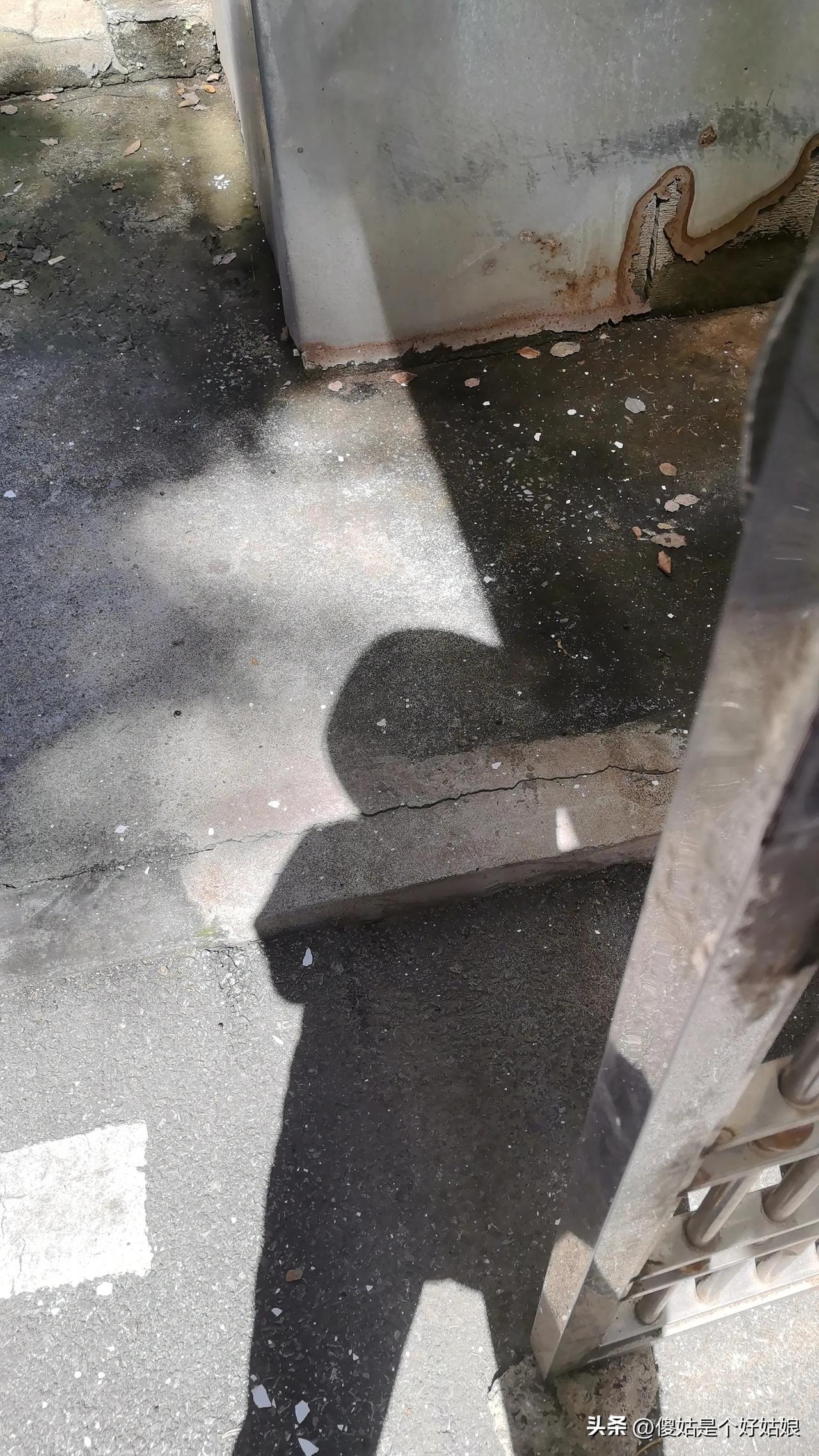 我们这个三十多年的老小区要旧改，由政府出资就在这几天动工，经理让我联系有太阳能的