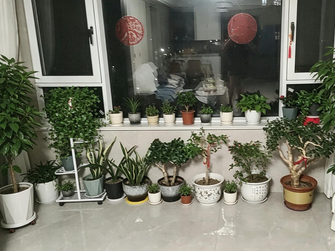 衡量一个人，别听他说了什么，要看他做了什么。语言廉价，无需成本；行动实在，方见真