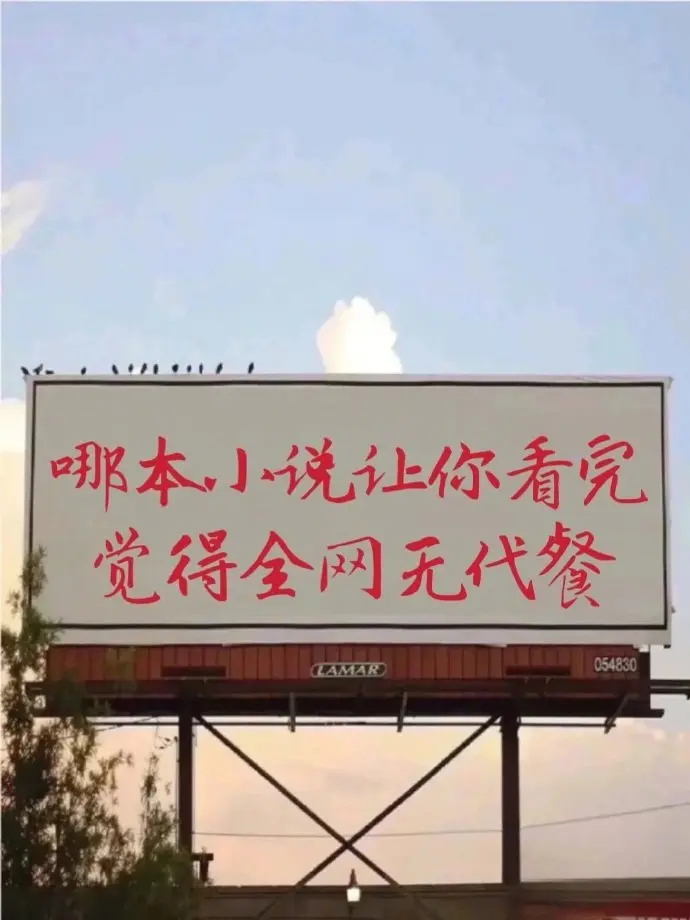 哪本小说让你看完觉得全网无代餐？