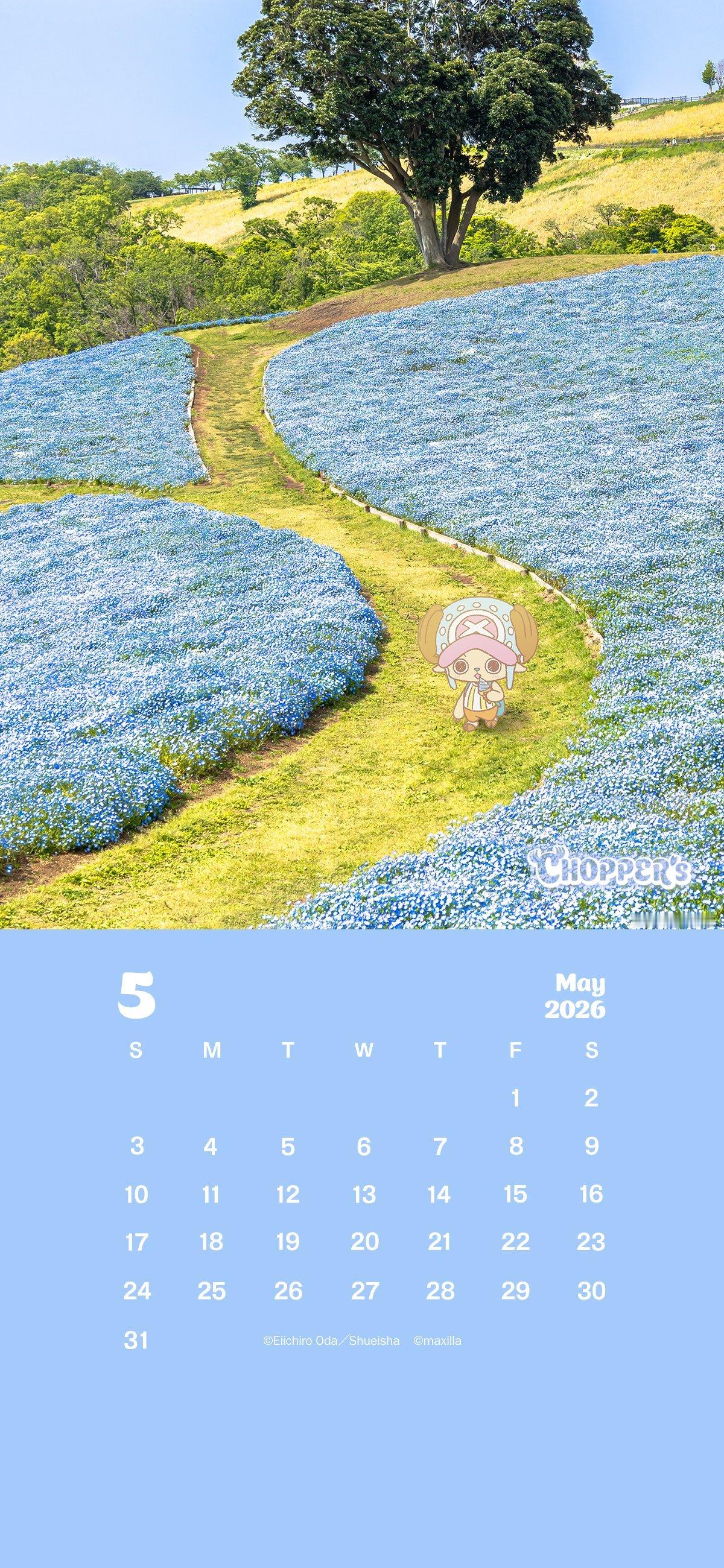 海贼王官方乔巴全新企划“CHOPPER's”，发一些乔巴在现实世界的图和视频。今