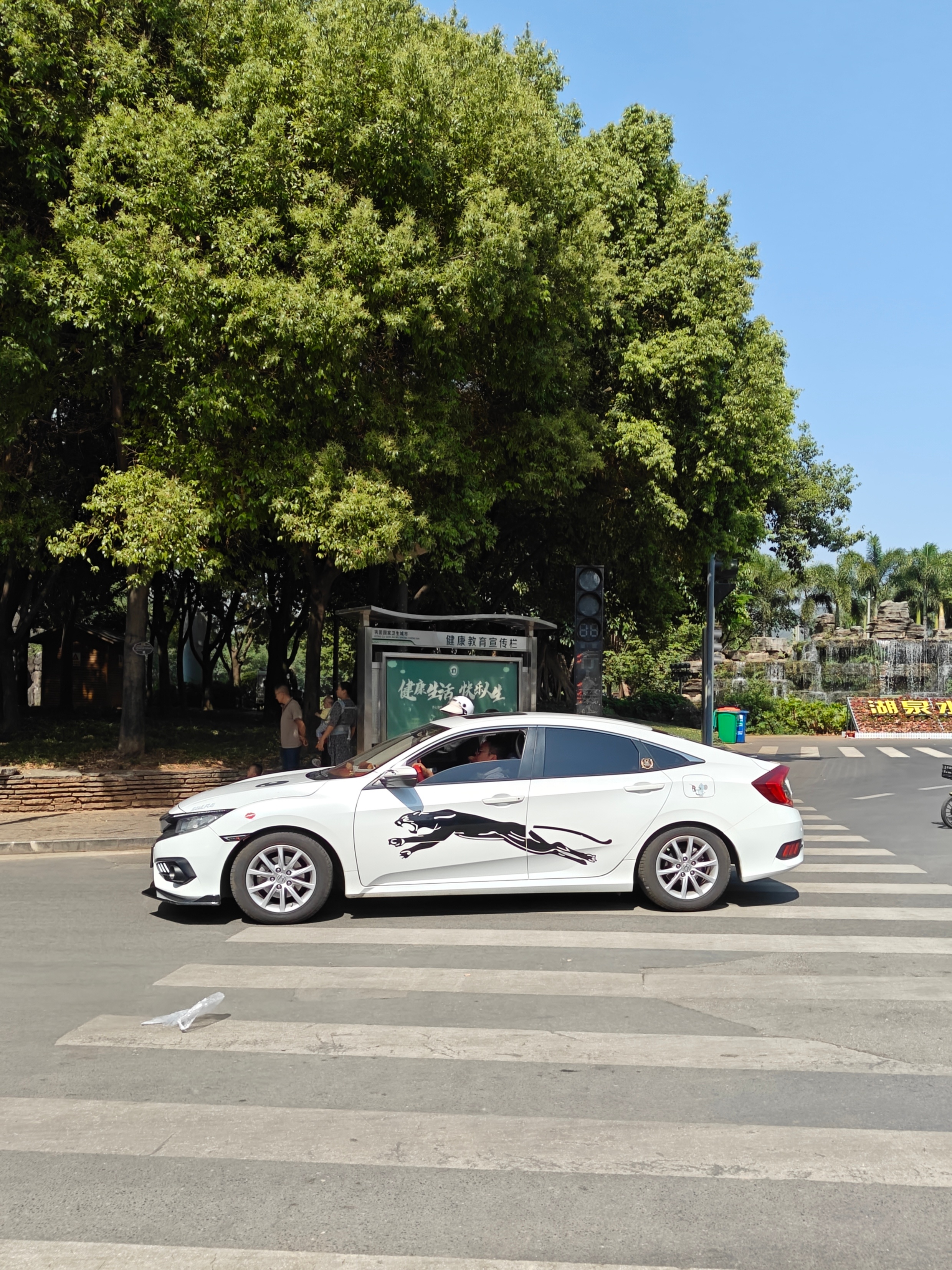 各种云南式审美，还有特色车[赞][doge] ​​​