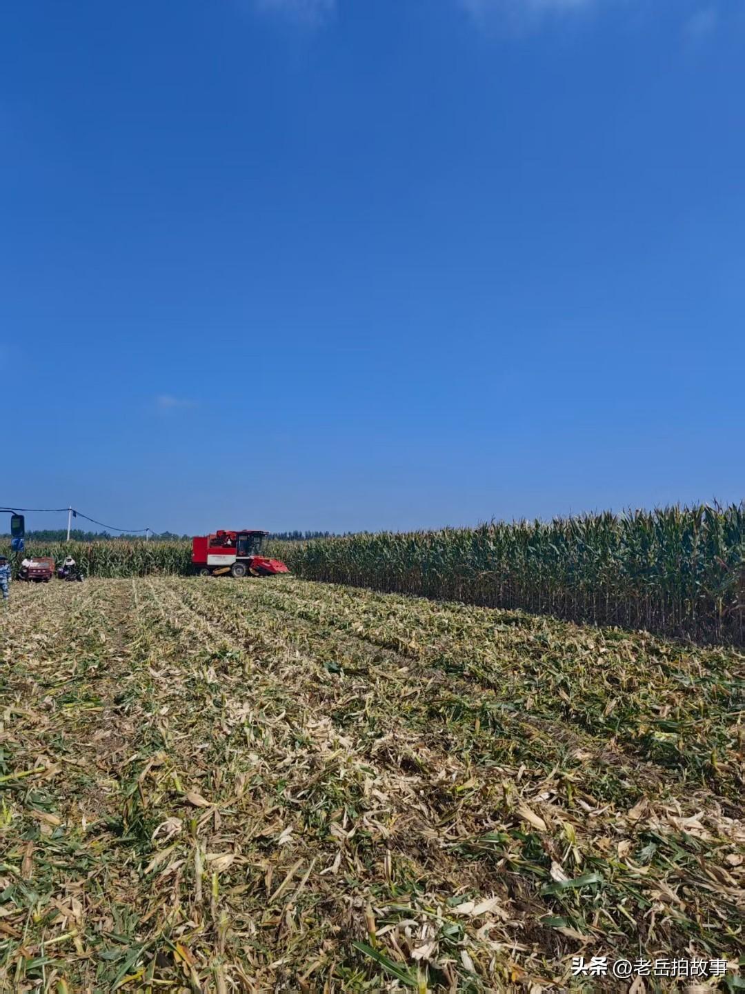 今天遇到一个不会说话的老兄，让人给日脑的无地自容。今天下午在街头遇到一个卖膨化酥