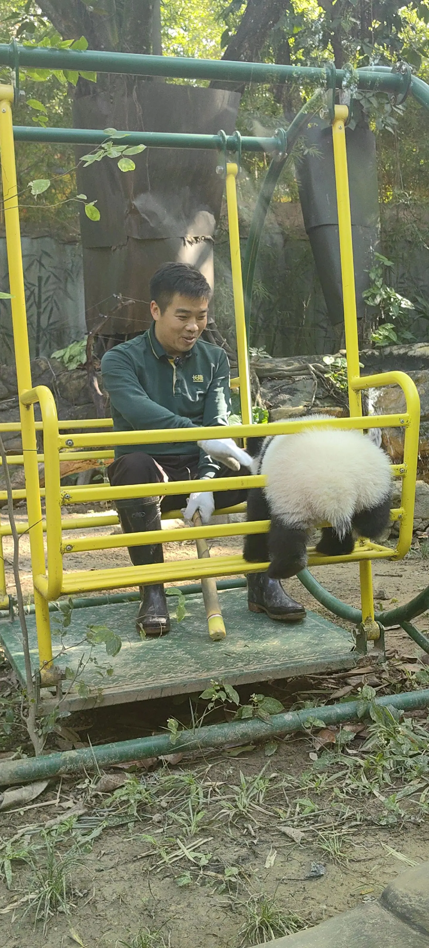 抓拍大良外公满眼都是妹猪😄