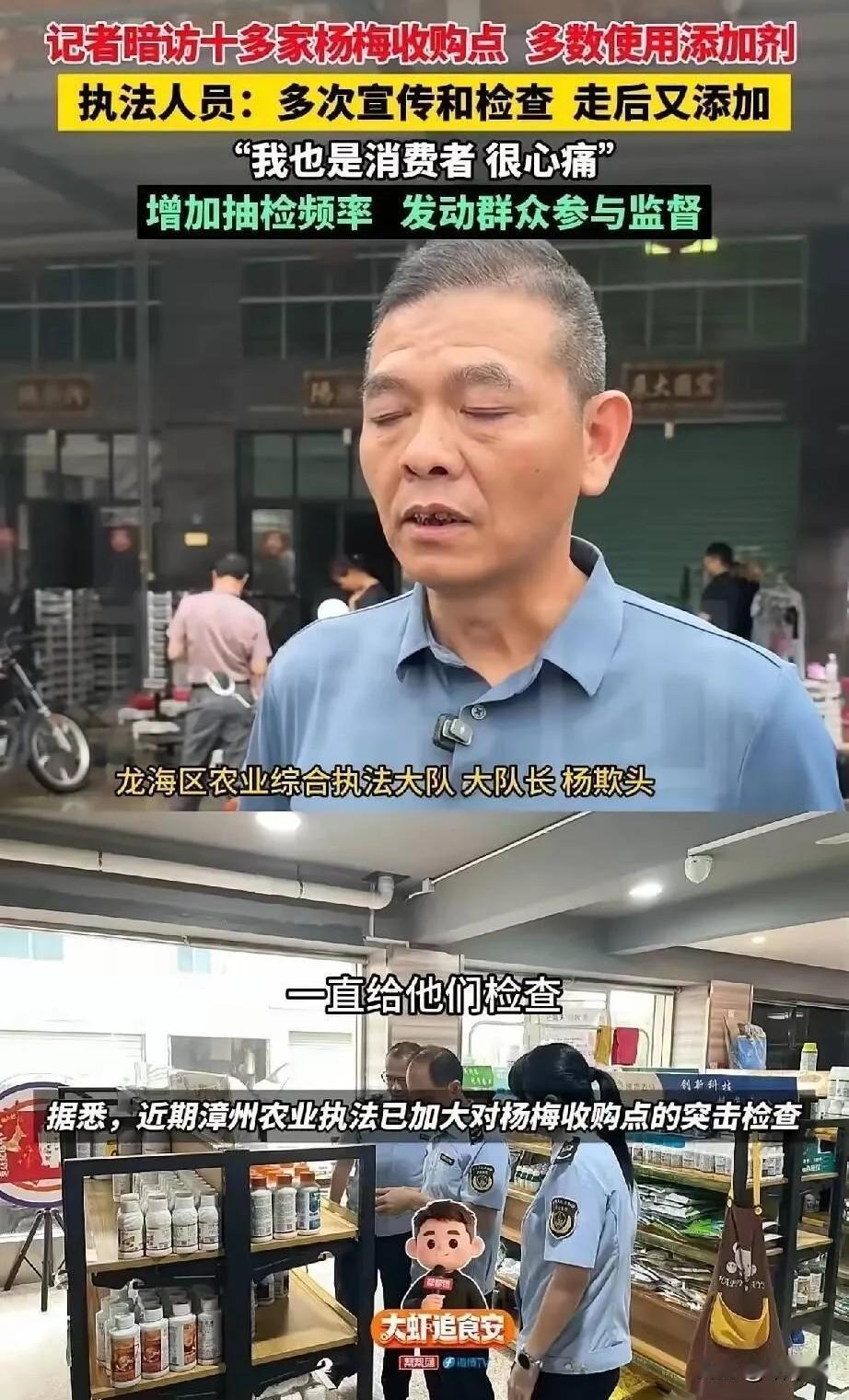 这下好了，不仅传出了漳州，估计都传到全国了，怕是要上央视新闻了！漳州杨梅这件事，