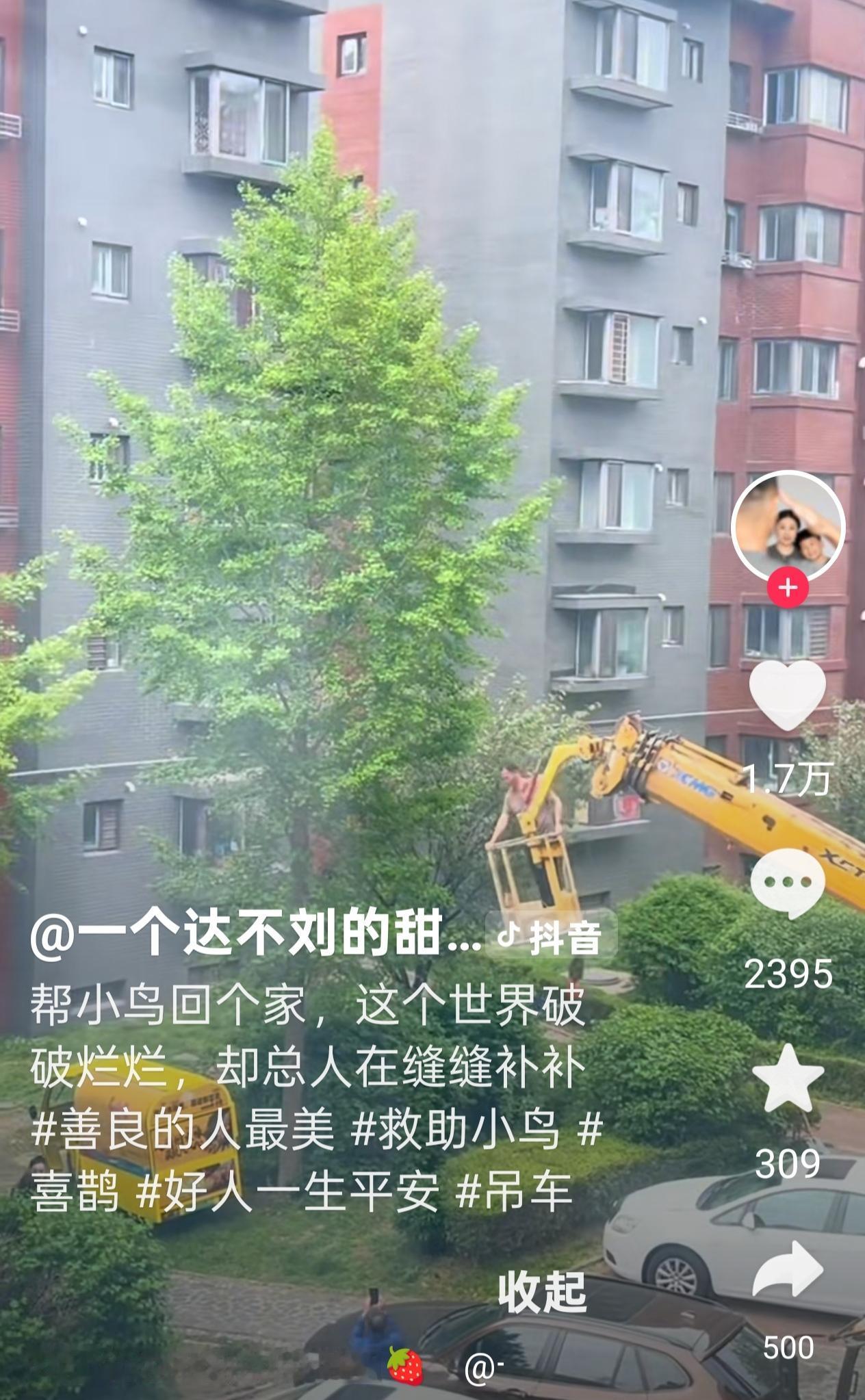 也许人间太冷淡，爱都用在小生灵身上了！