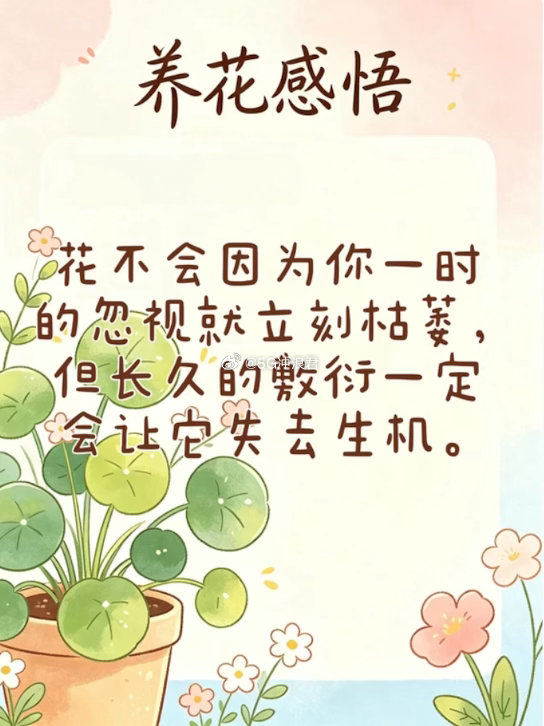 这种月季热了会脱妆莫奈的画开在了月季上 第一次养莫奈月季的人，看到它褪色多半会焦