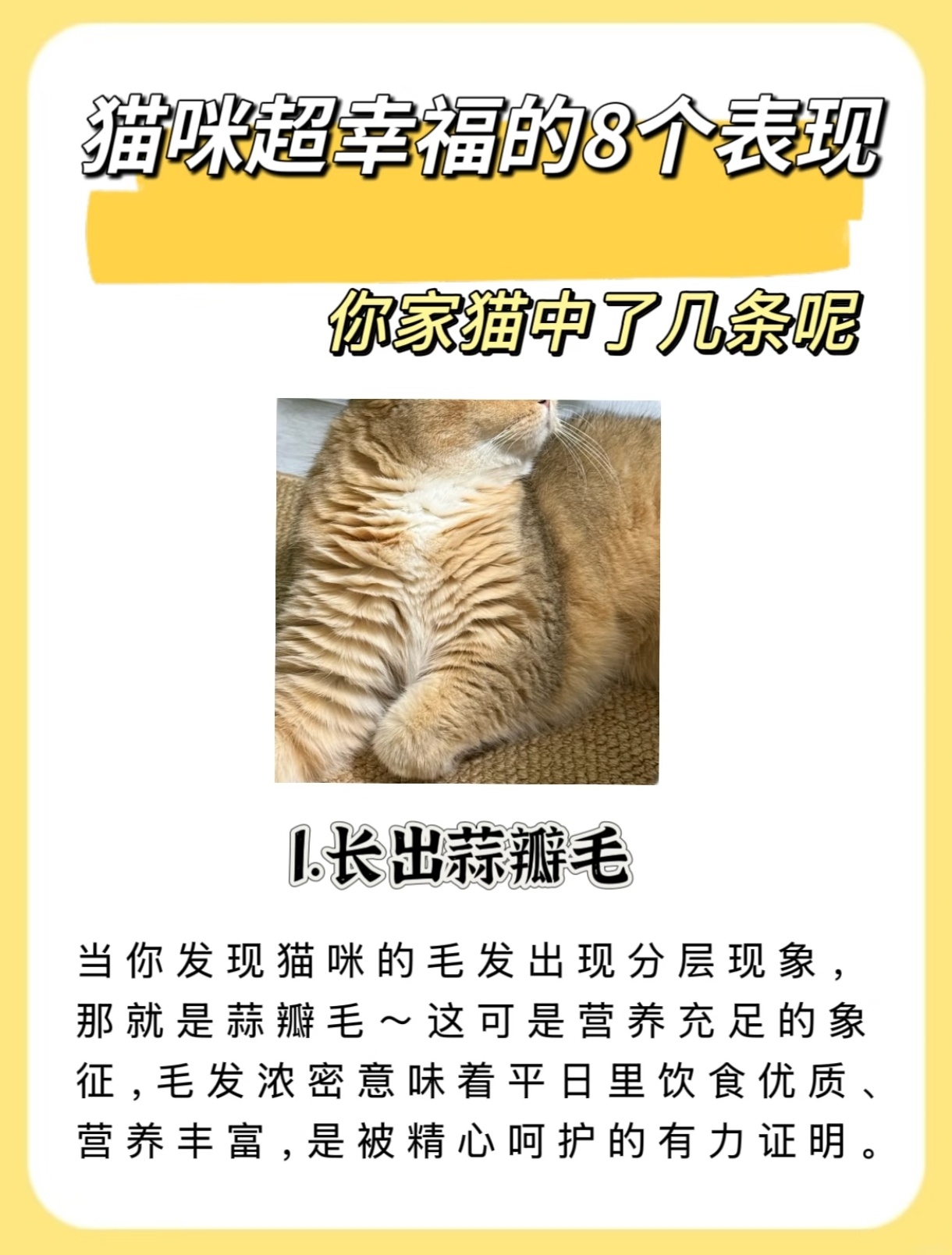 张泽禹一模一样的猫养两只复制粘贴脖子上的猫是不是蒜瓣毛啊 那种养的很好的小猫咪才