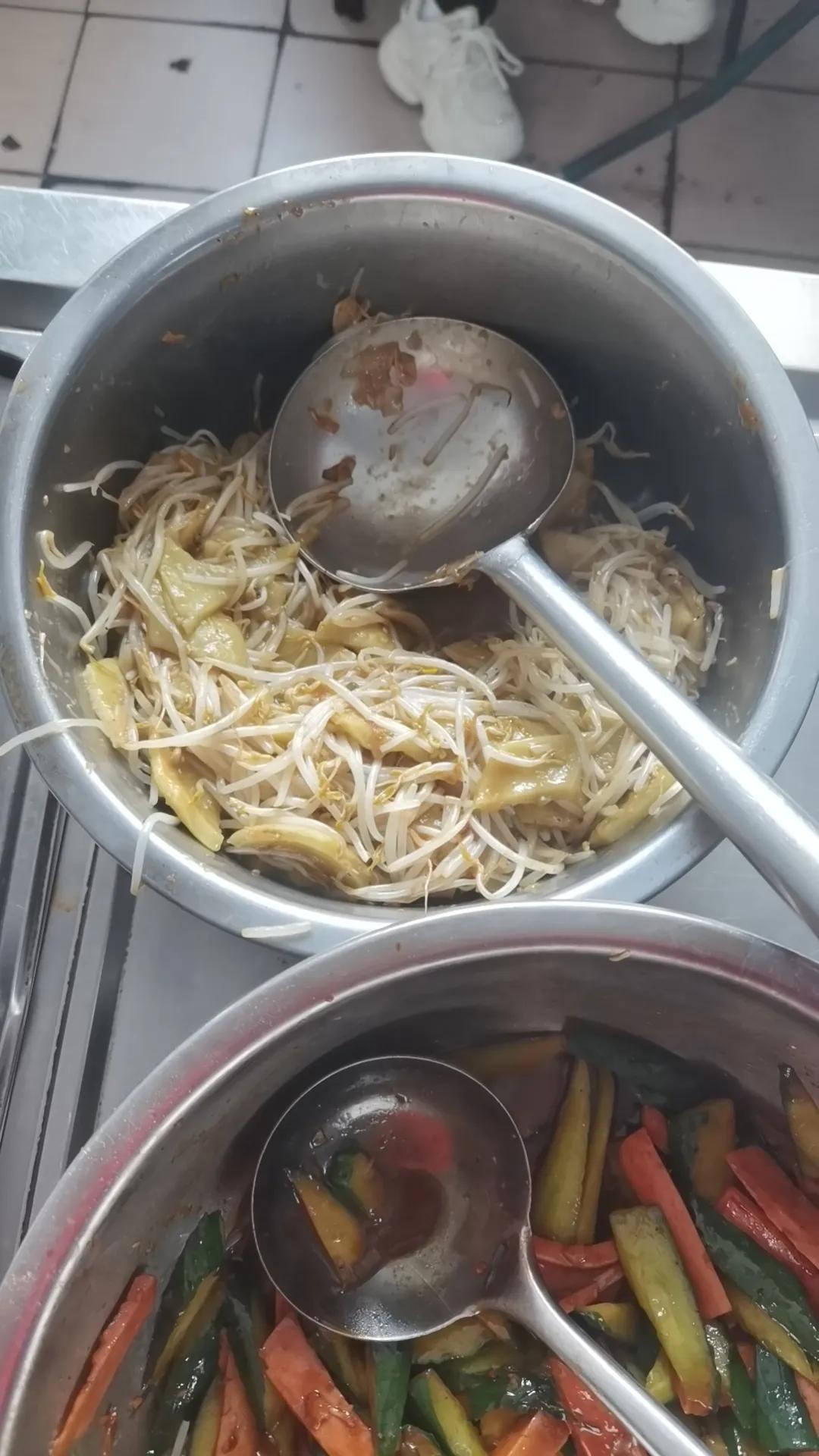 春日生活打卡季春天的豆芽菜
