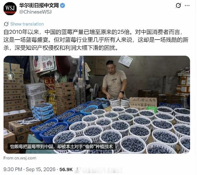 外媒又来老生常谈！中国蓝莓增产 25 倍，可不是靠偷技术。

外媒这脑洞真的有点