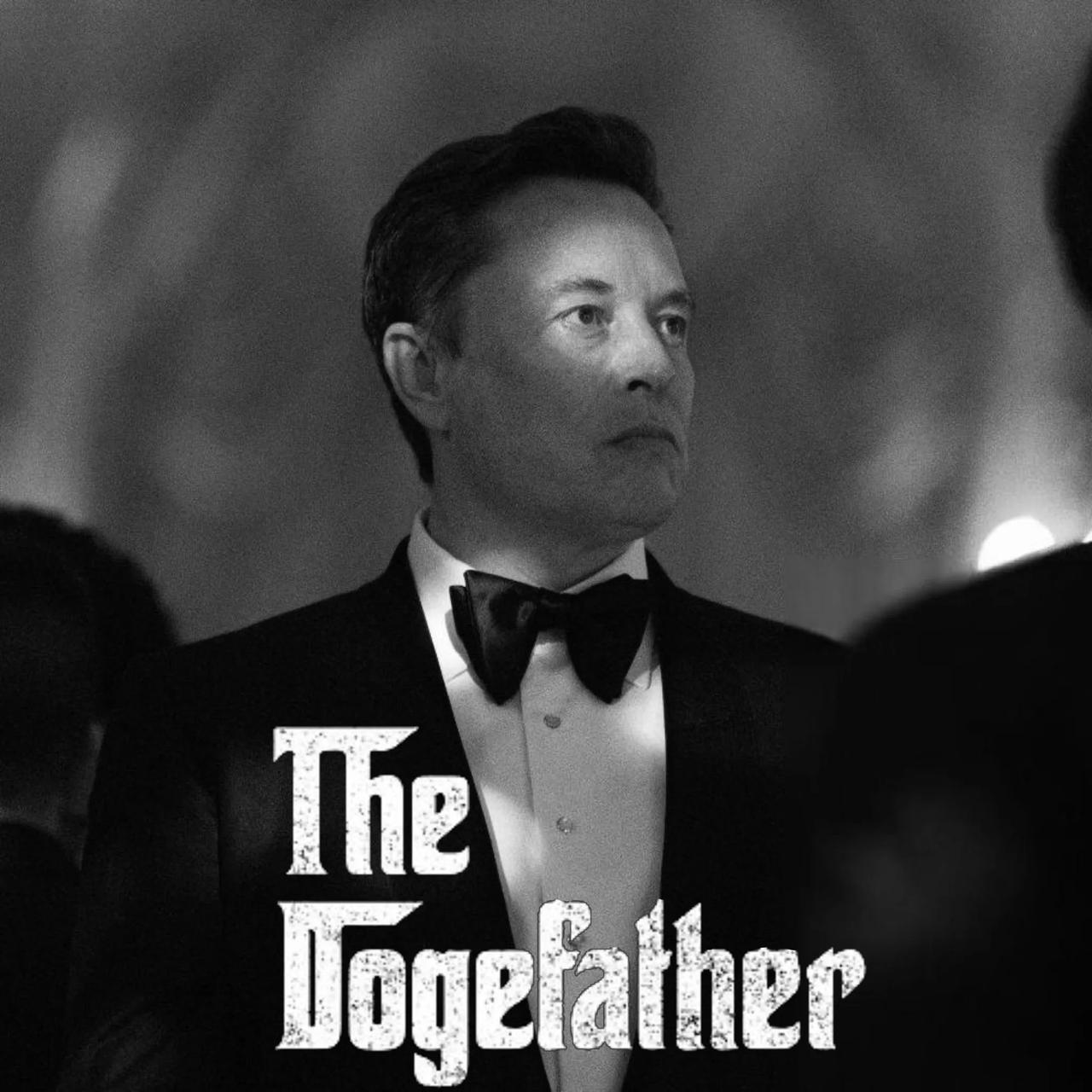 马斯克这张唱片太有感觉了。美国效率部门话事人（The Dogefather）埃隆