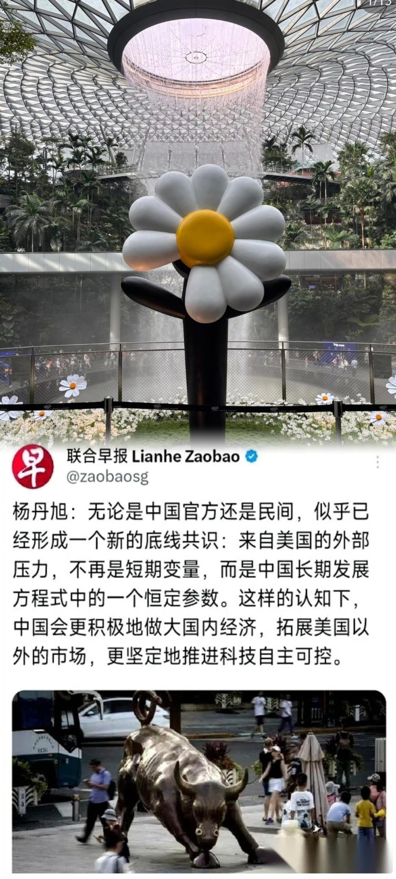 “中国的共识：美国压力不是风暴，而是气候。”新加坡媒体一句话，把遮羞布撕得干净—
