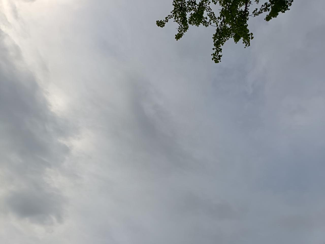 弟媳与弟弟刚结婚不久就是老父亲的生日，要在家里简单摆两桌，大姑姐说弟媳一直在外地