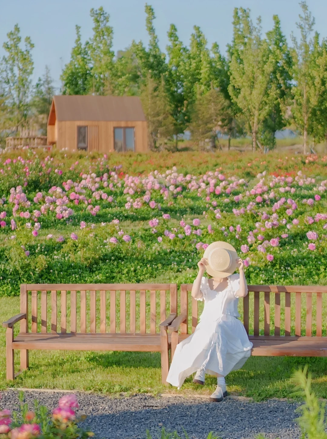 青岛春天🌸被朋友圈问爆的18个赏花机位📷