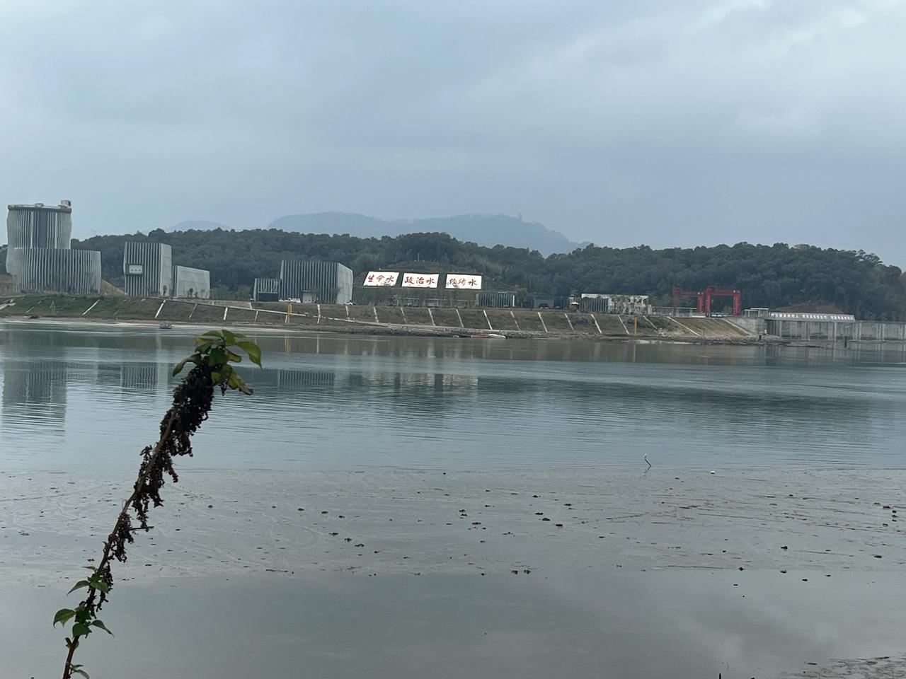 天南地北大拜年戳这里，一起放烟花>