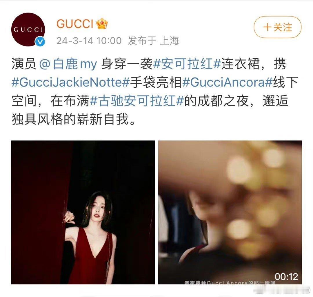 Gucci认领白鹿，但是没给tittle#白鹿# ​​​
