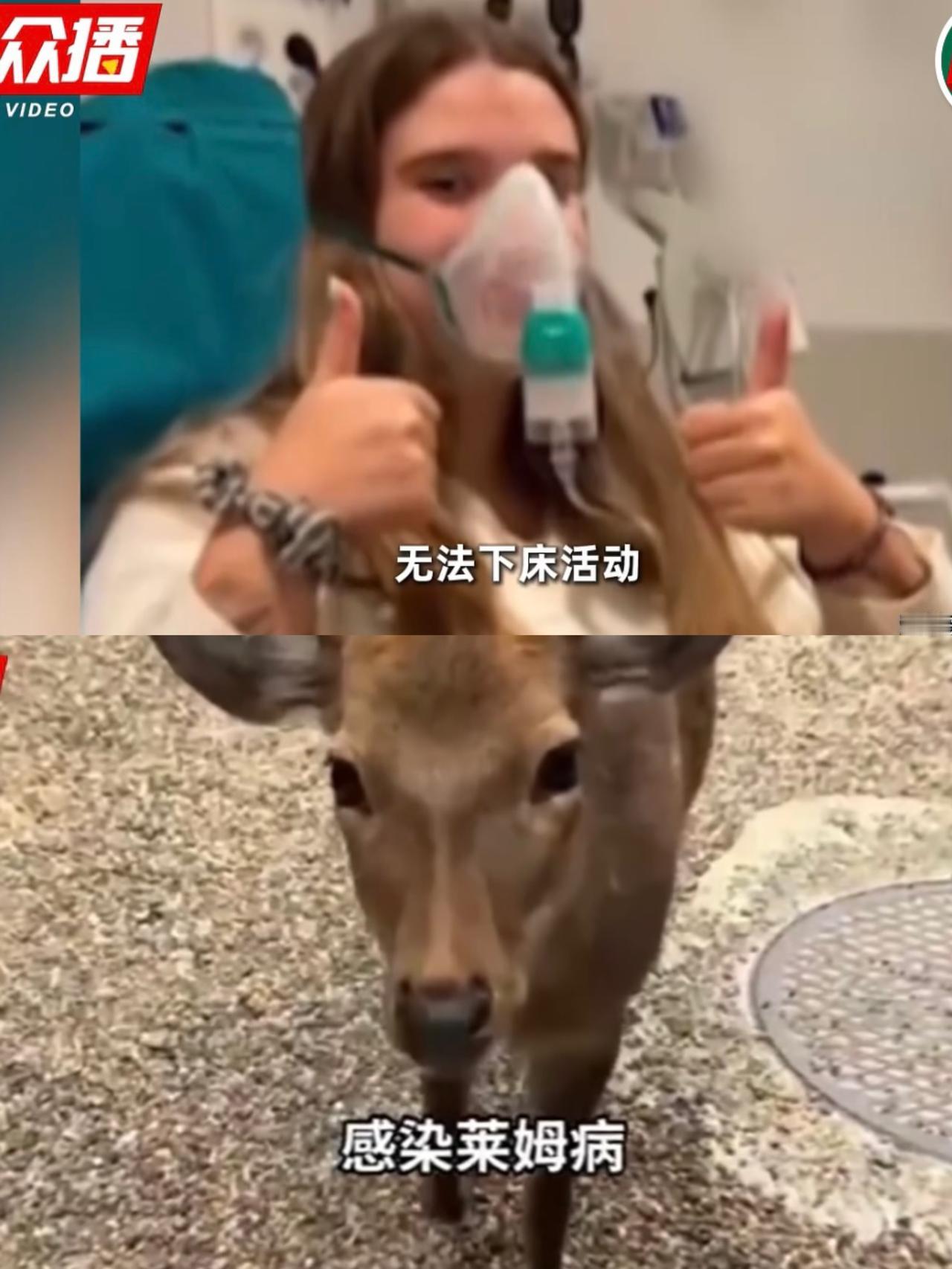 西班牙舞蹈演员去日本旅游，摸了奈良的鹿后感染病毒，危在旦夕

25岁西班牙芭蕾舞