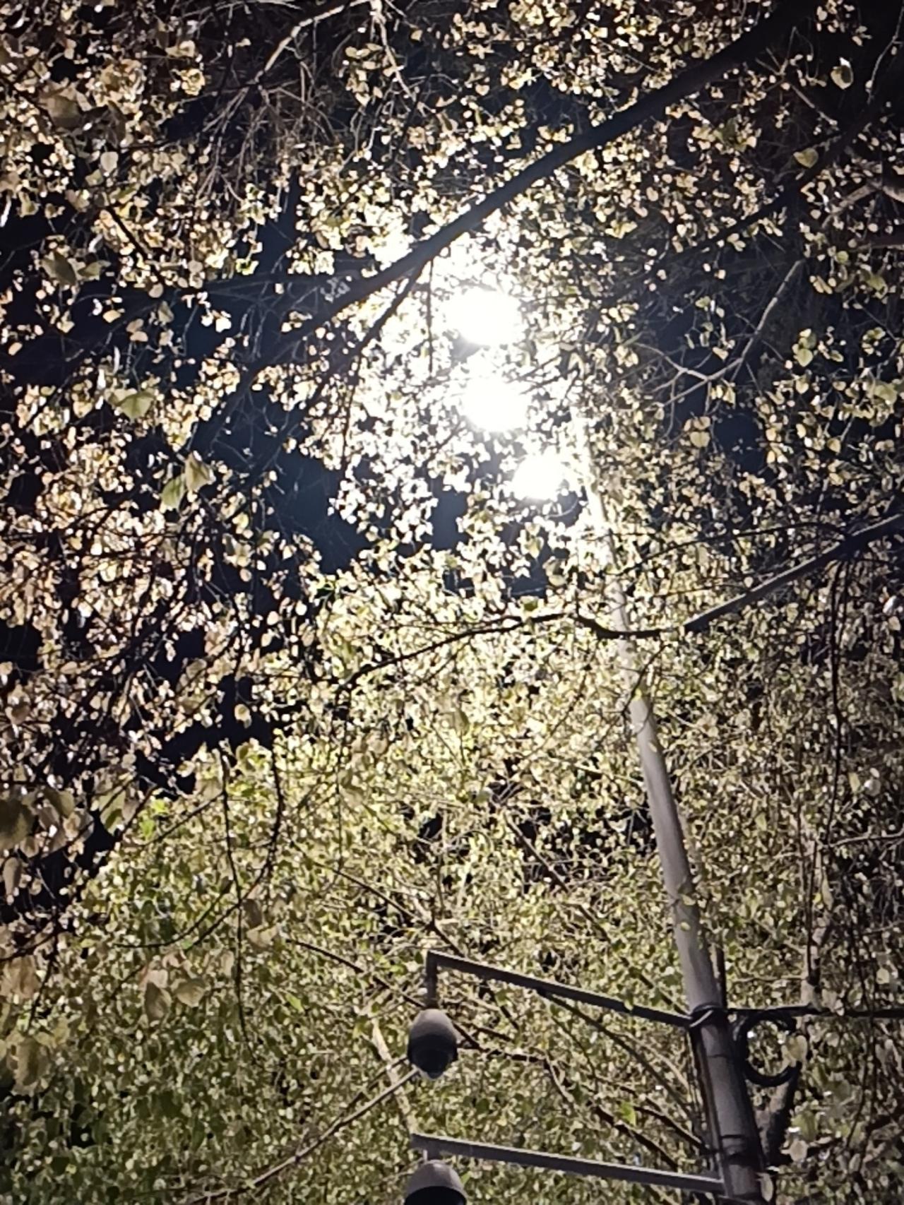 老伯解文｜为什么地狱跟天堂这两个完全相反的单词却用了同样的开头？关于hell与h